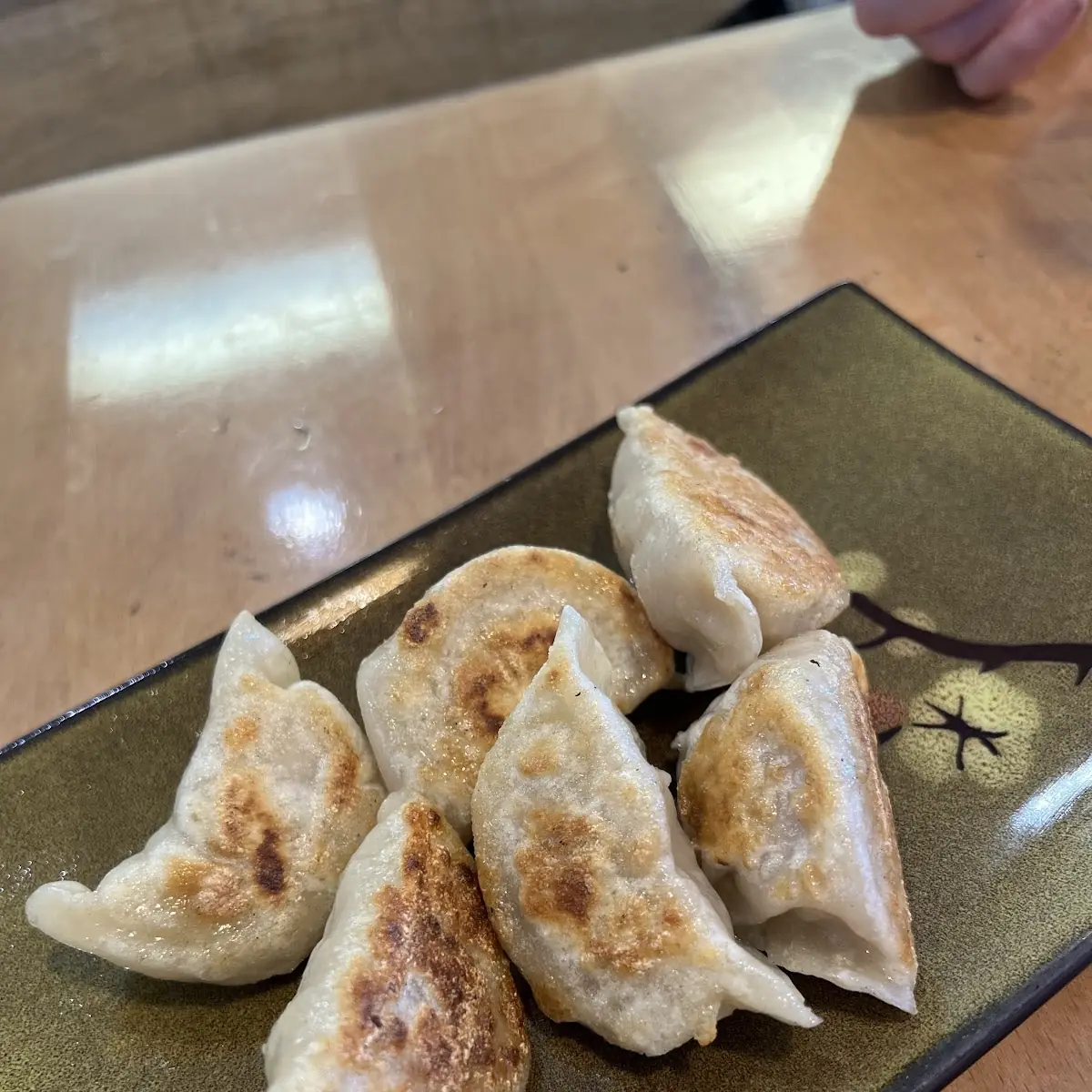 Fried Pork Dumplings