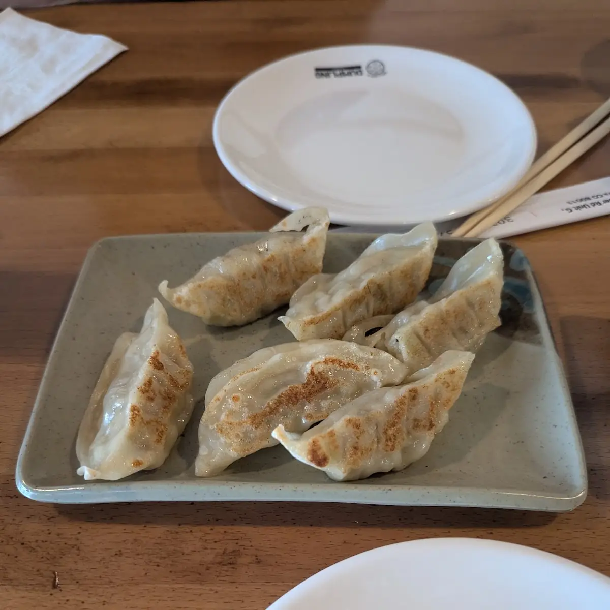 Pan Fried Dumplings