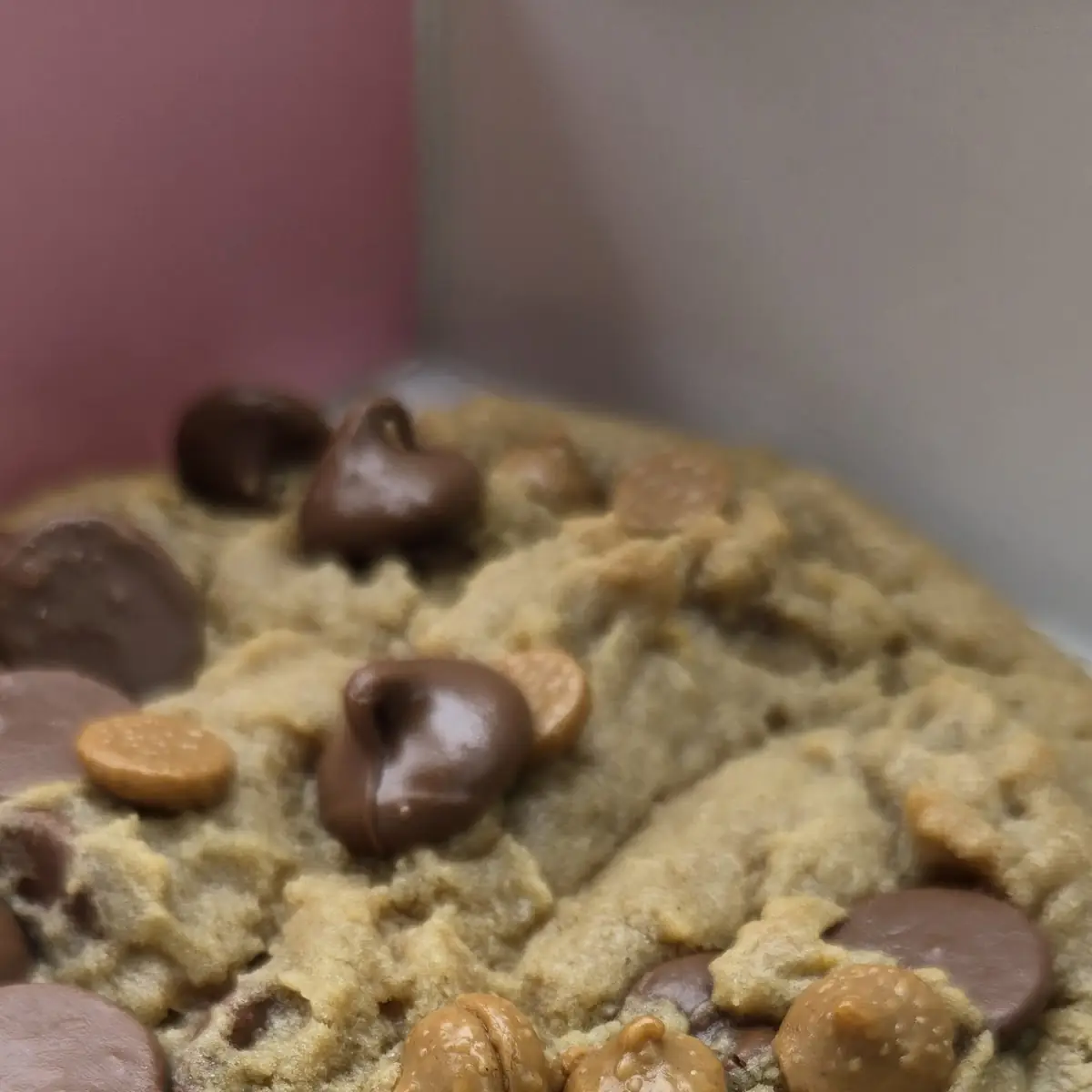 Semi Sweet Chocolate Chip Cookie