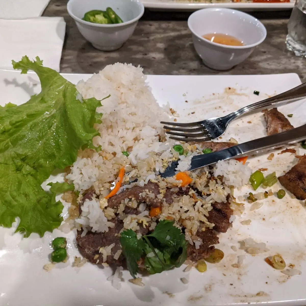 Pork Chops Rice Bowl