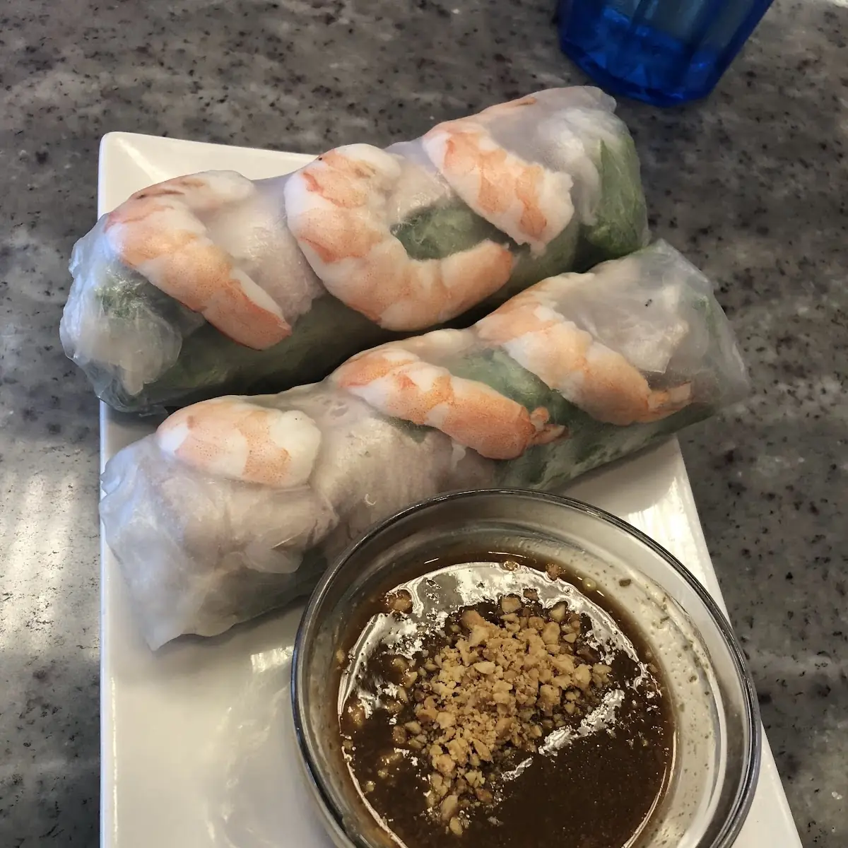 Vietnamese Spring Roll Appetizer
