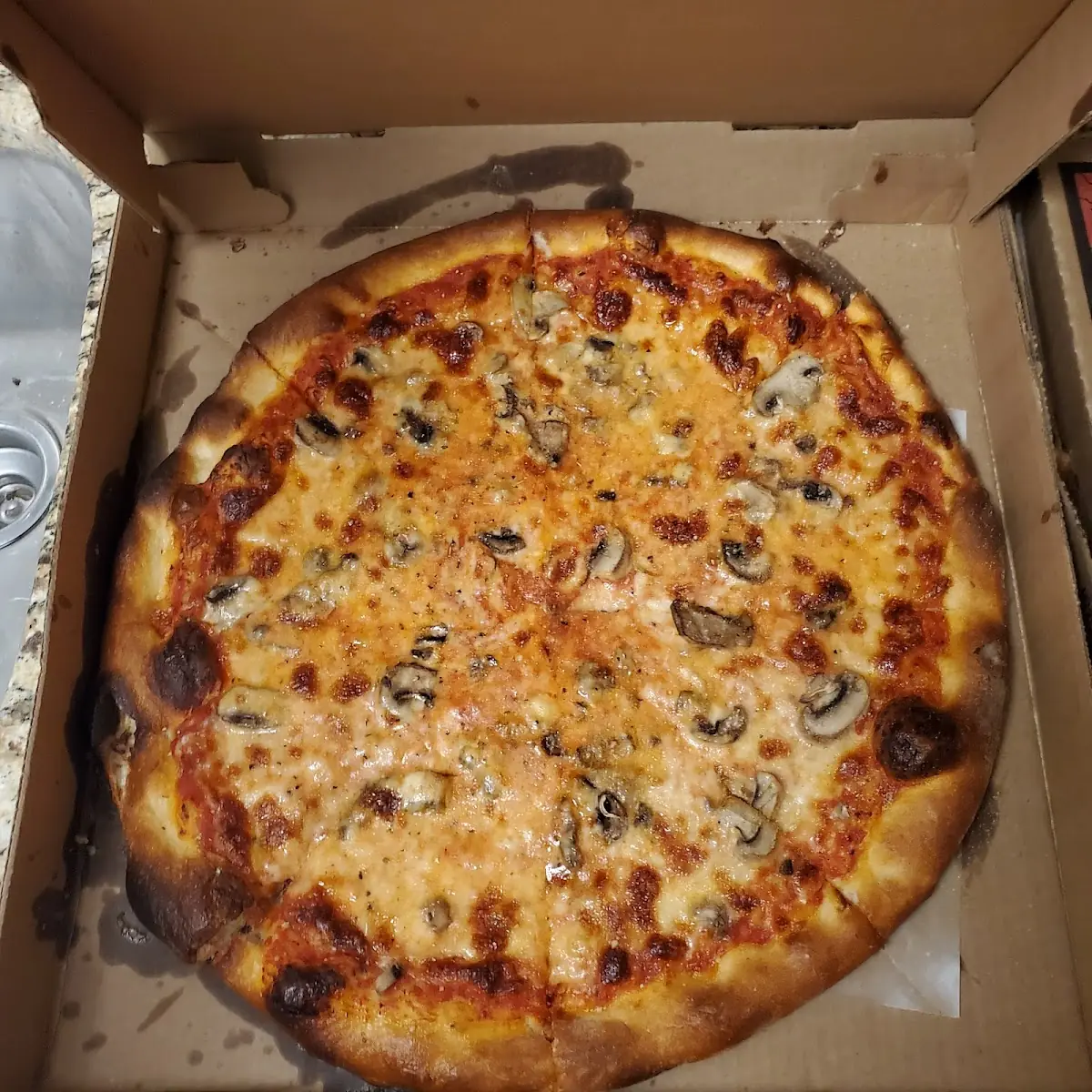 Mushroom Pizza