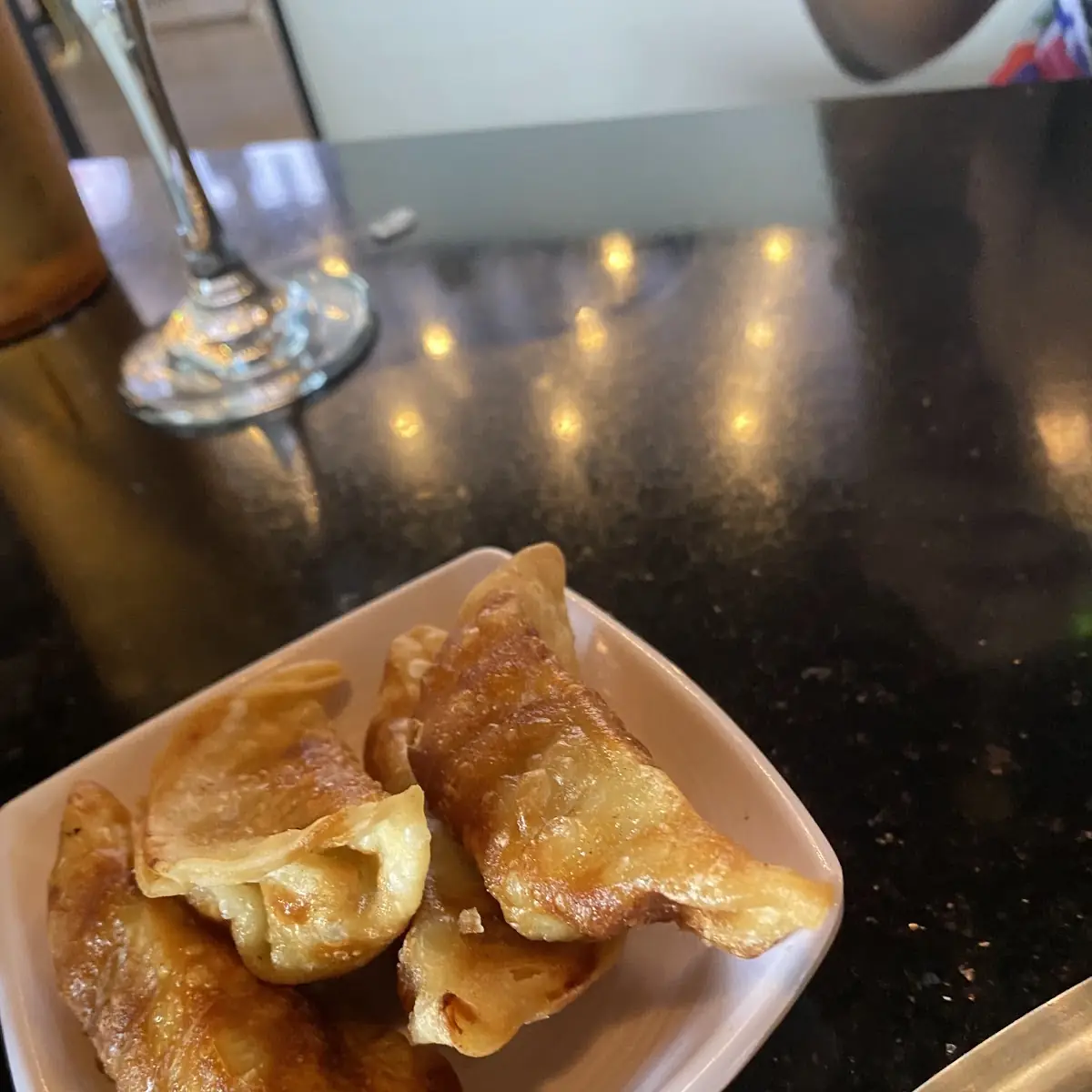 Chicken Dumplings