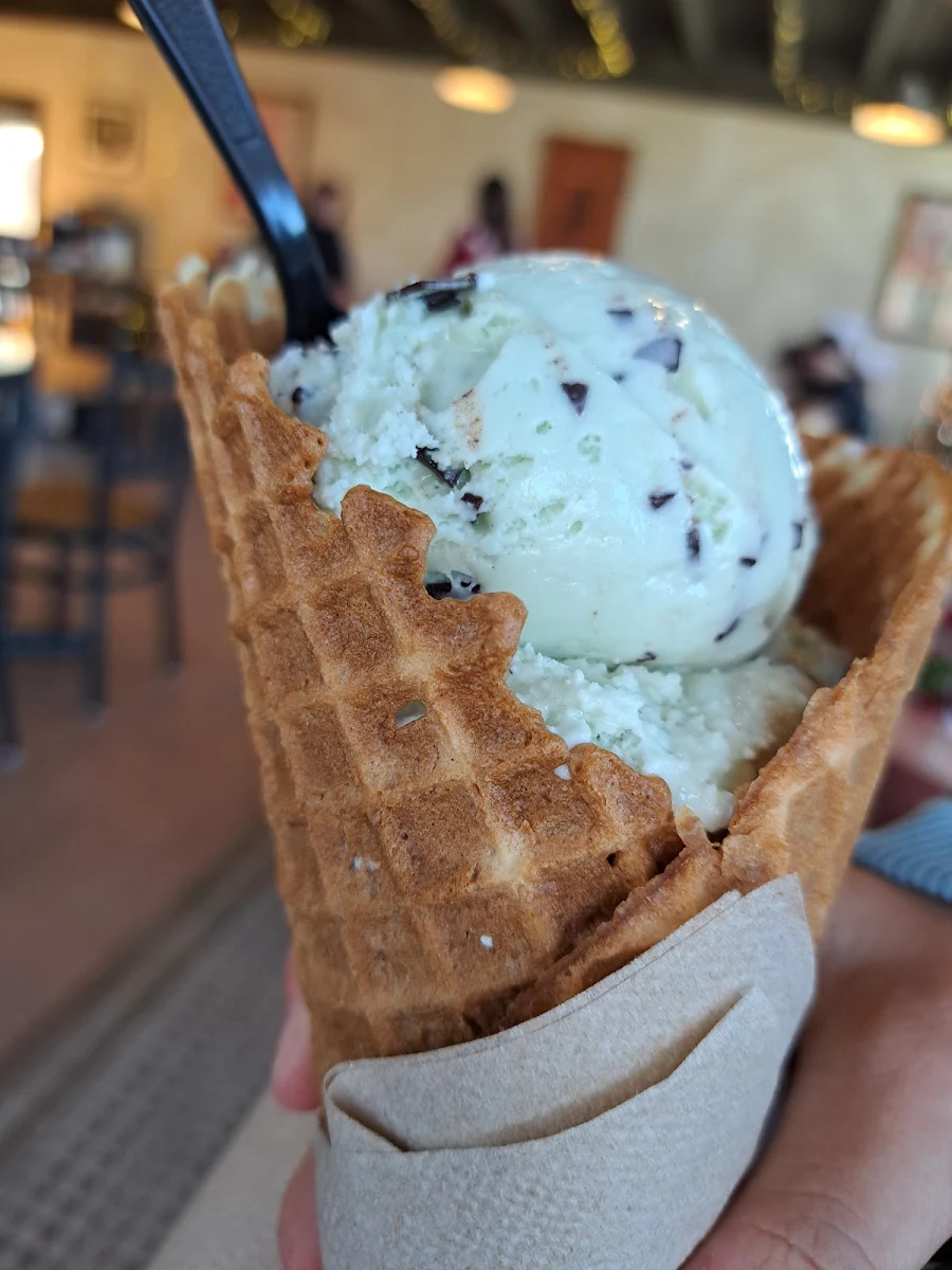 Mint Chip