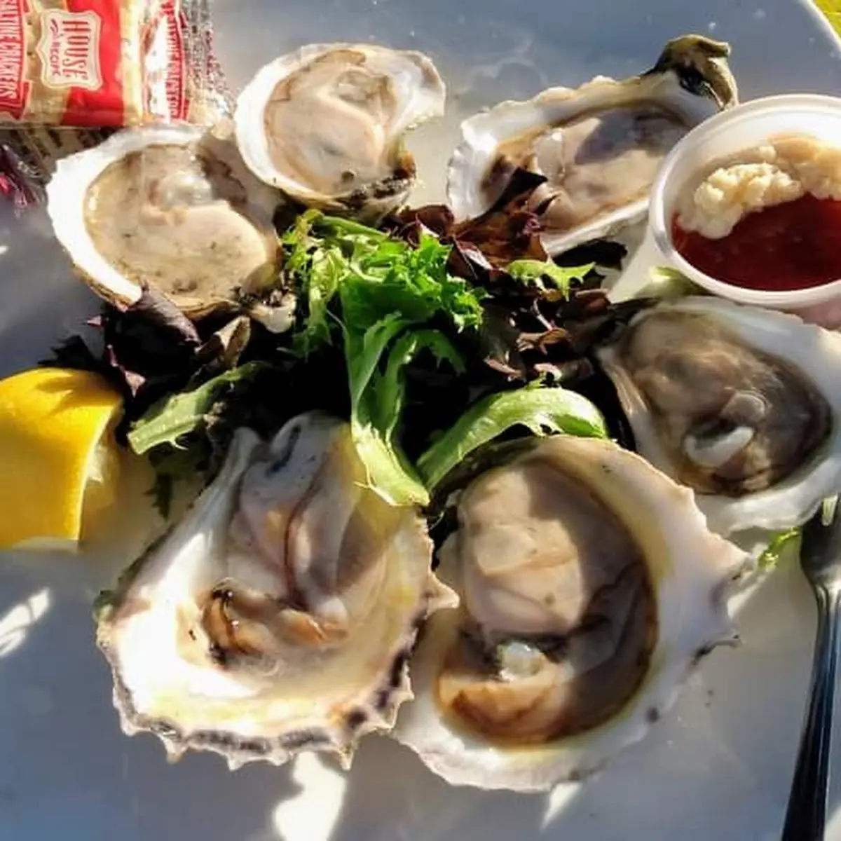 Oysters on the Half Shell