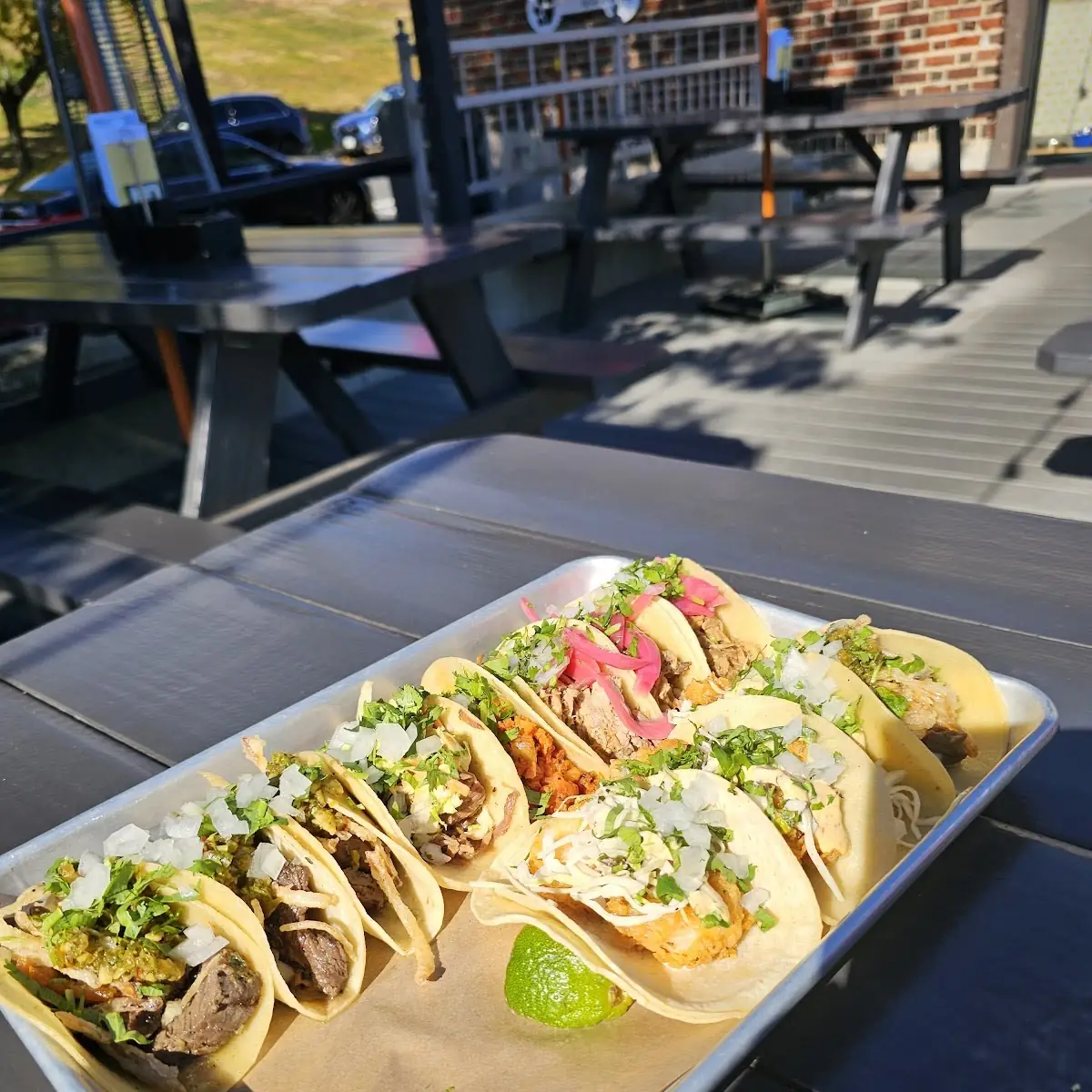 Filet Mignon Tacos and Fish Tacos