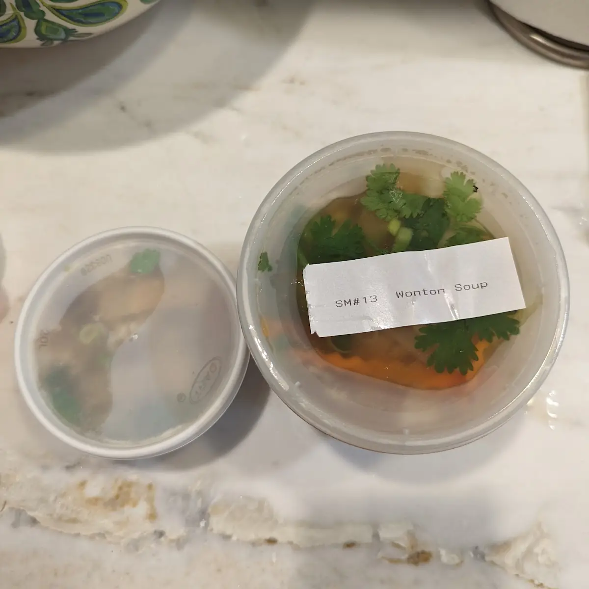 Wonton Soup