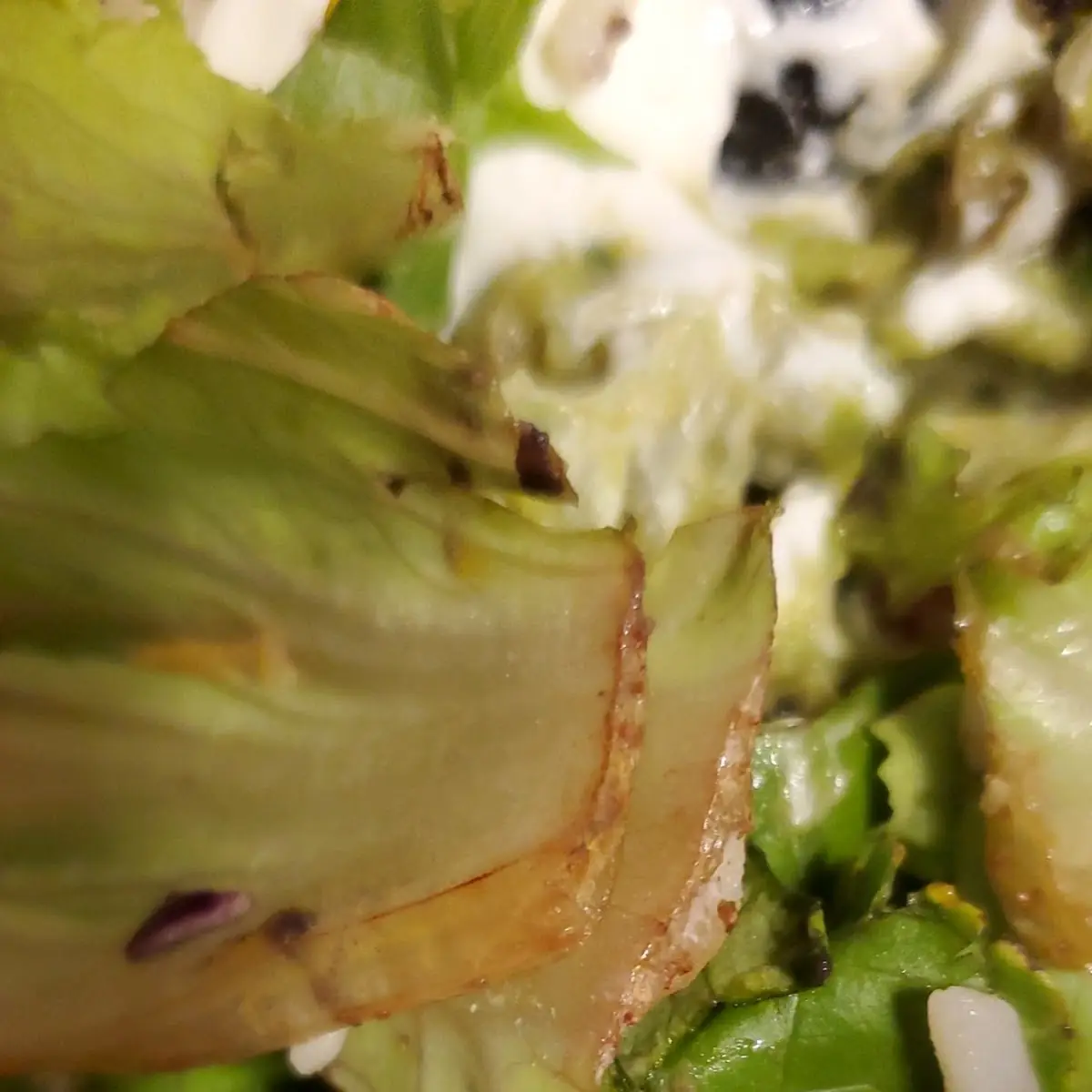 Taco Salad