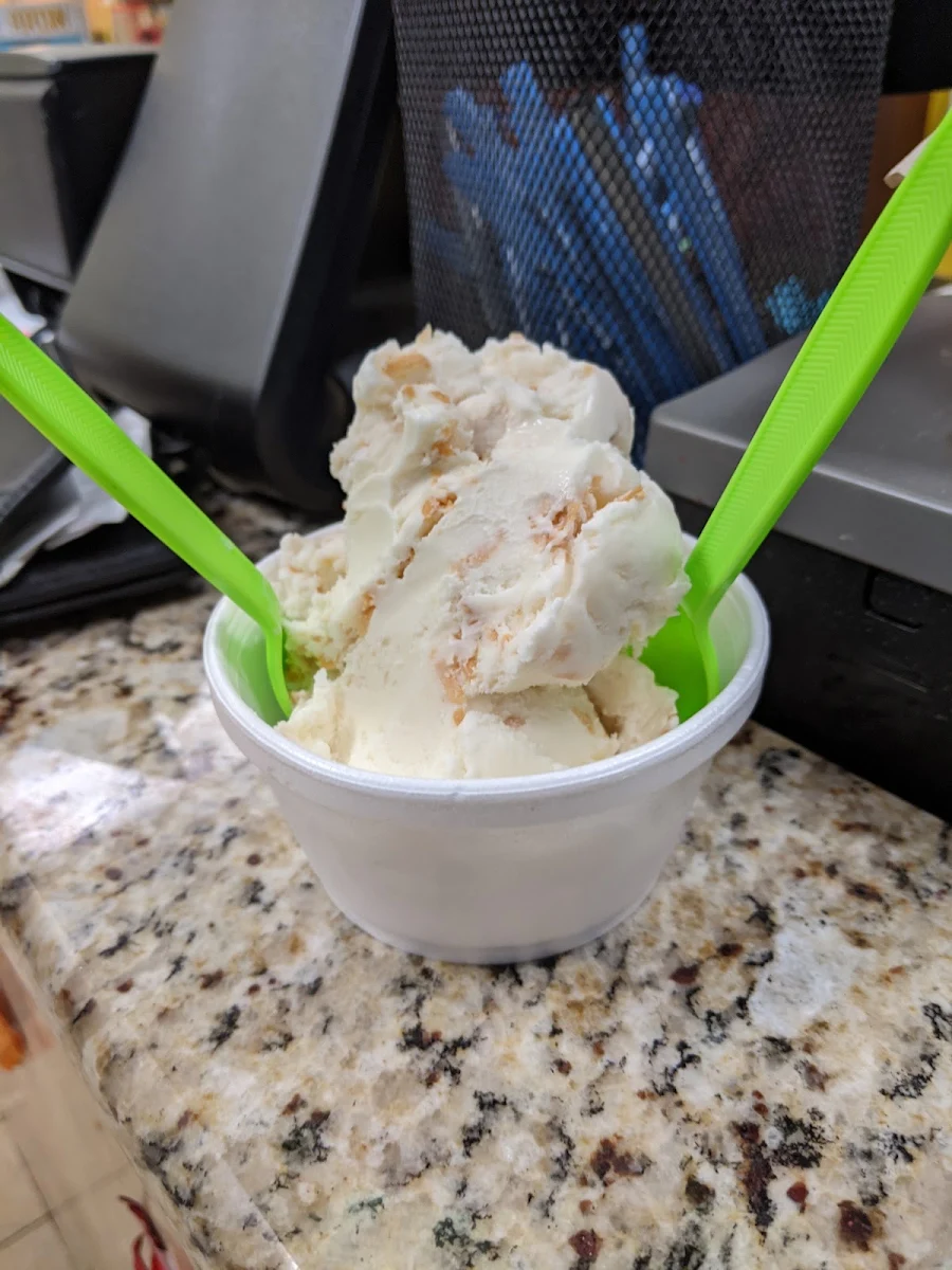 Toasted Coconut Ice Cream