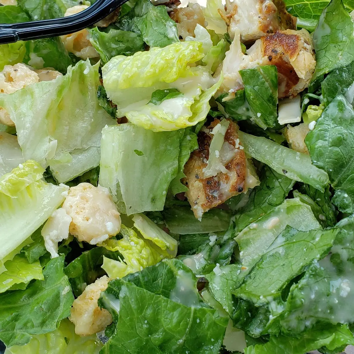 Grilled Chicken Caesar Salad