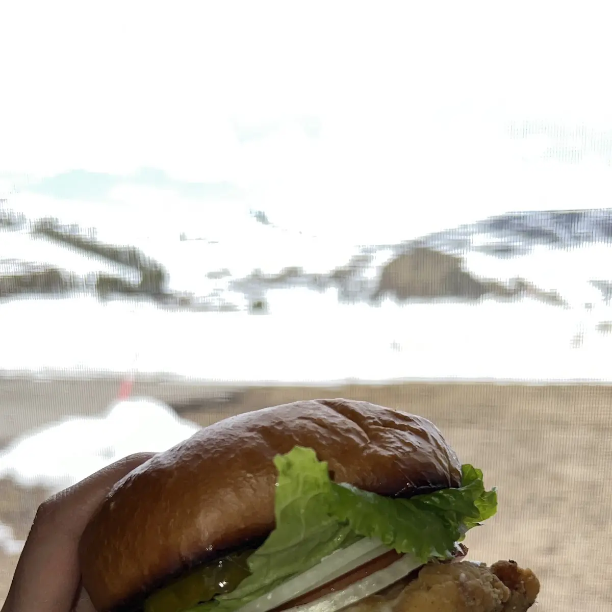 Crispy Chicken Sandwich