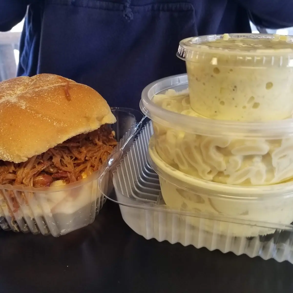 Pulled Pork Sandwich with Macaroni Salad And