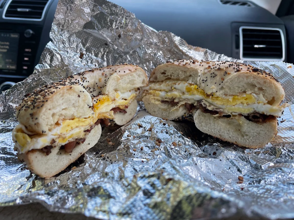 Toasted Everything Bagel