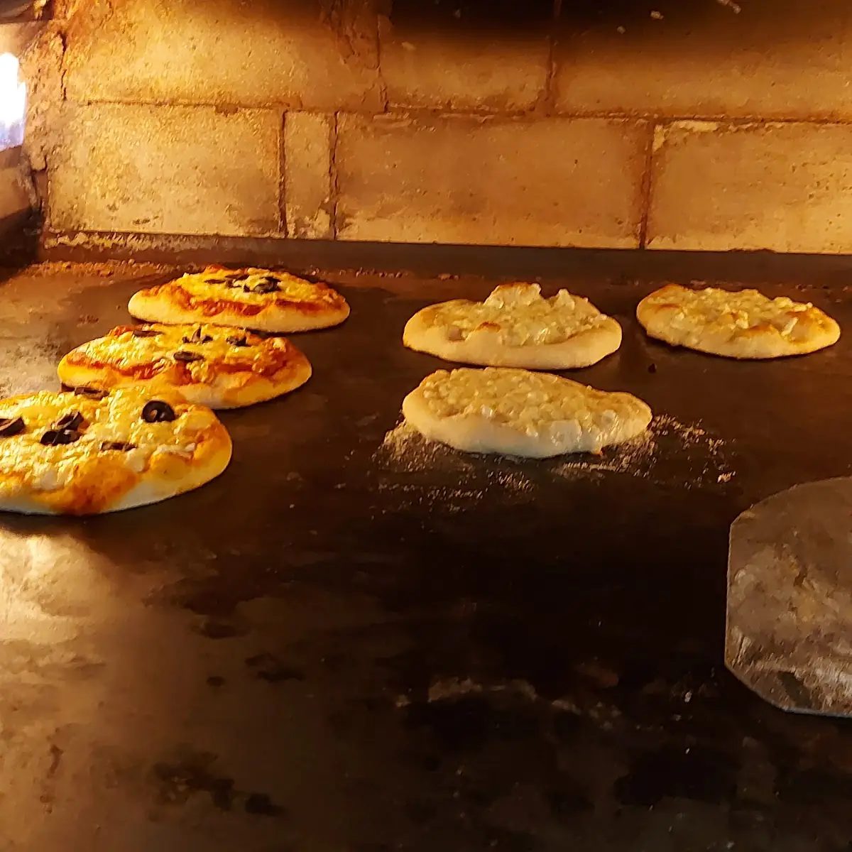 Mediterranean Pizza and Cheese Pie