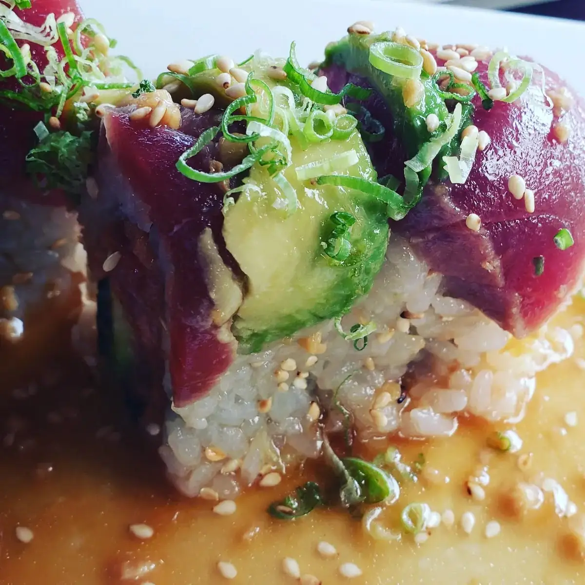 Big Eye Tuna Wlavacado