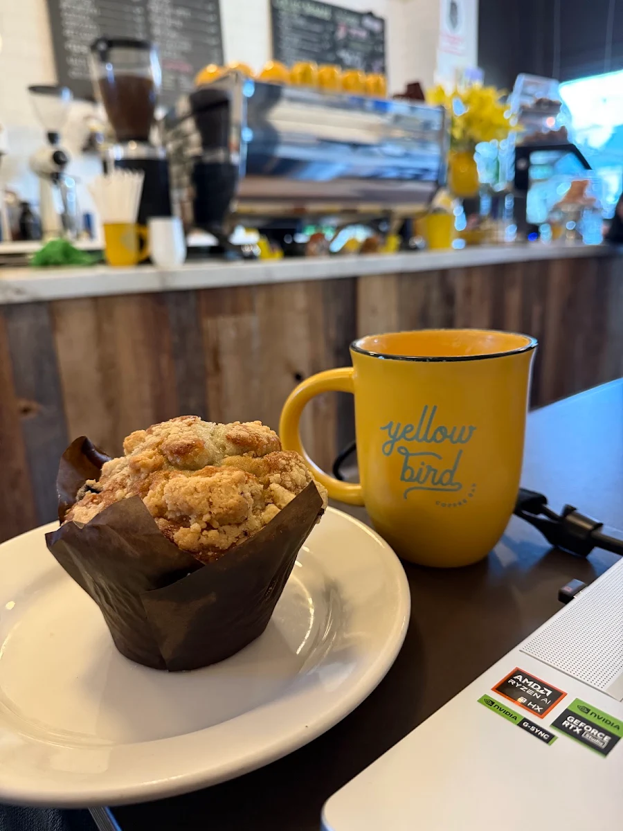Blueberry Muffin