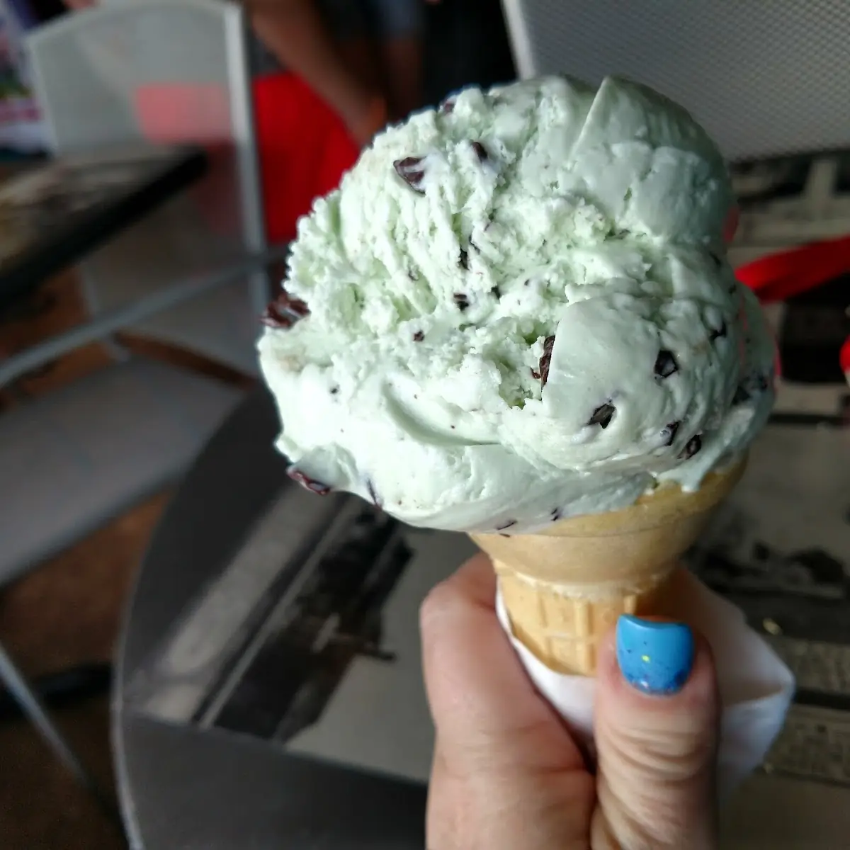 Mint Chocolate Chip