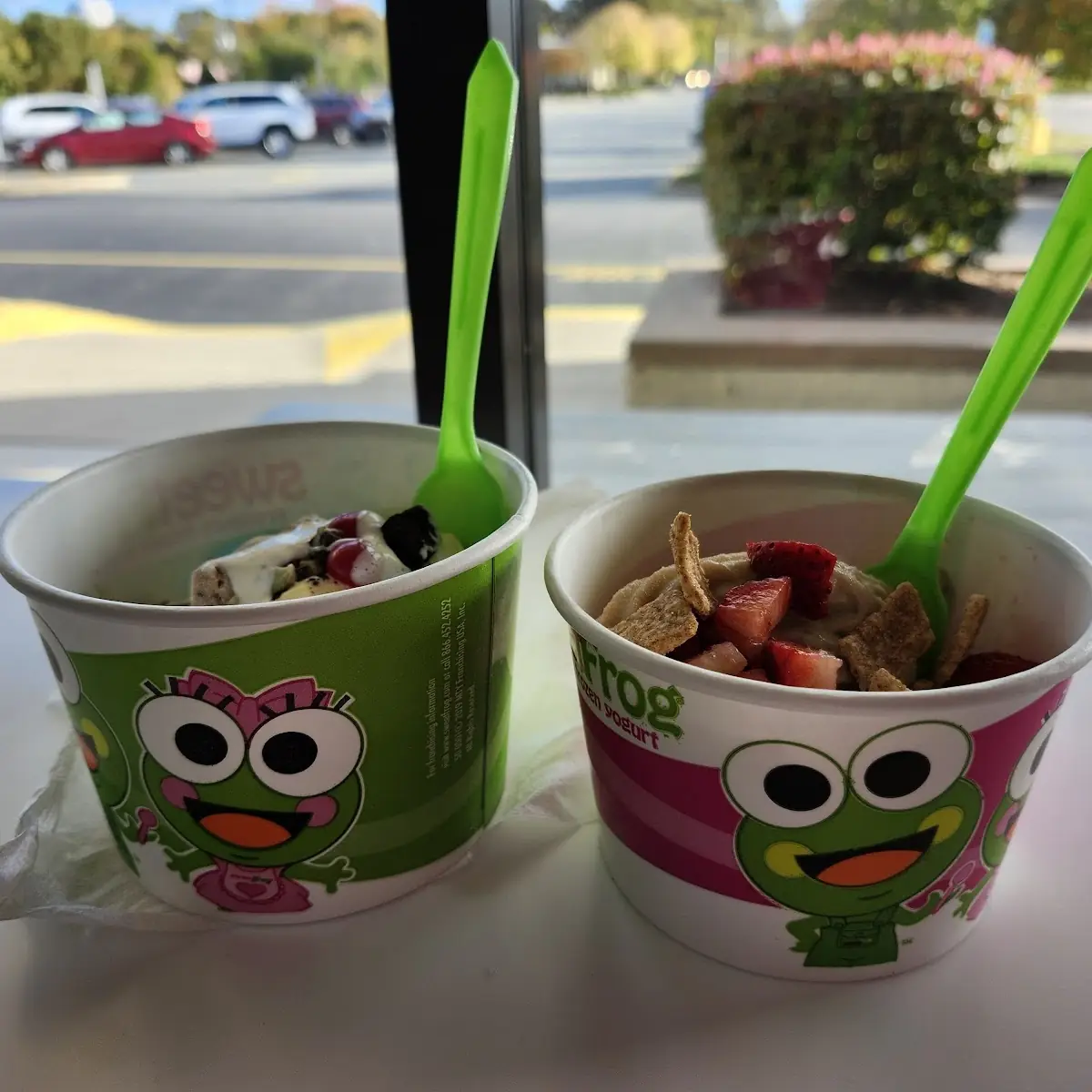 Frozen Yogurt