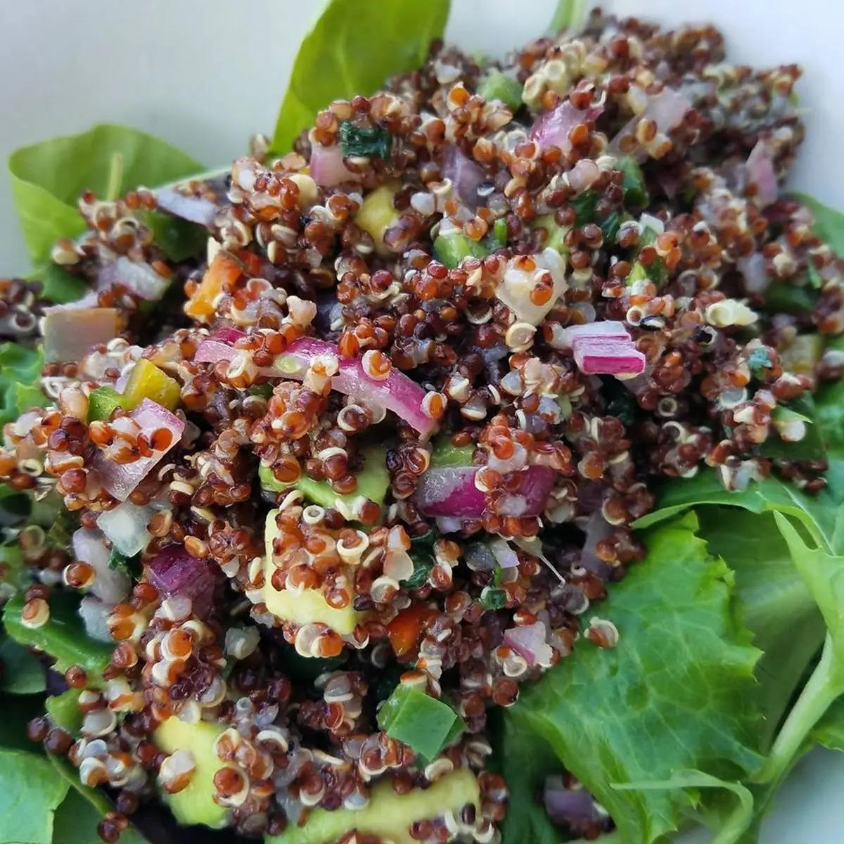 Salmon Quinoa Salad