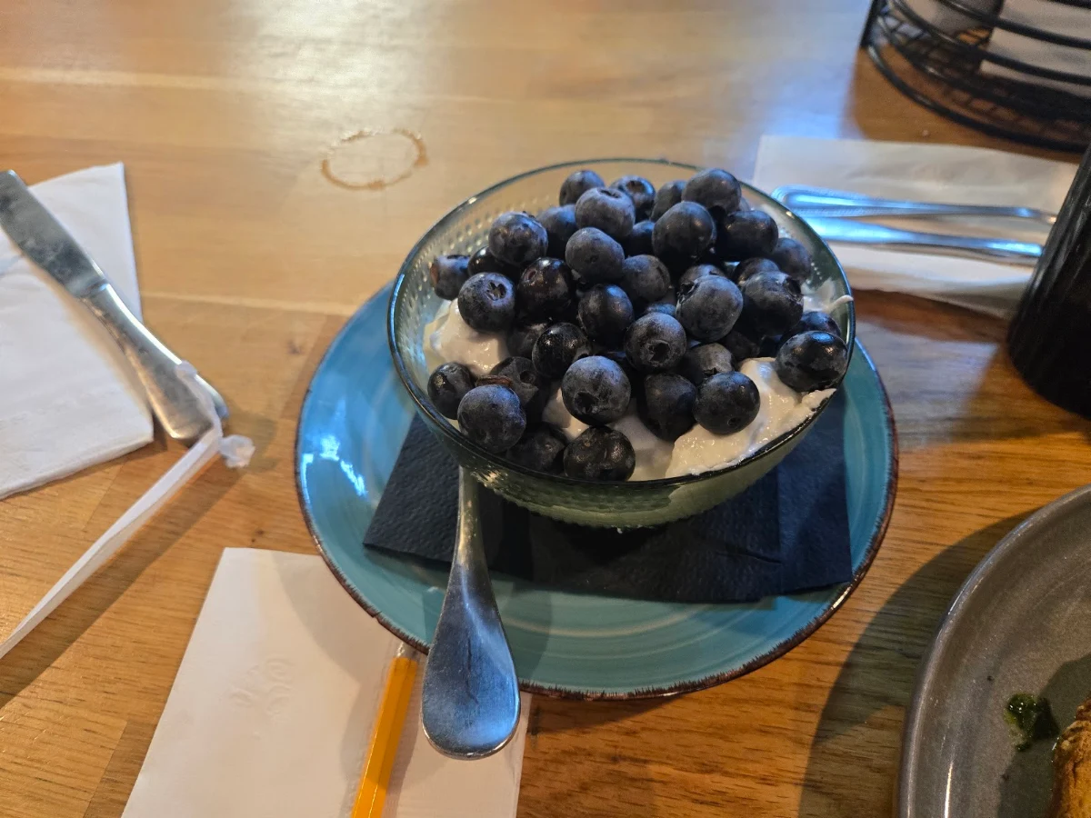 Homemade Greek Yogurt