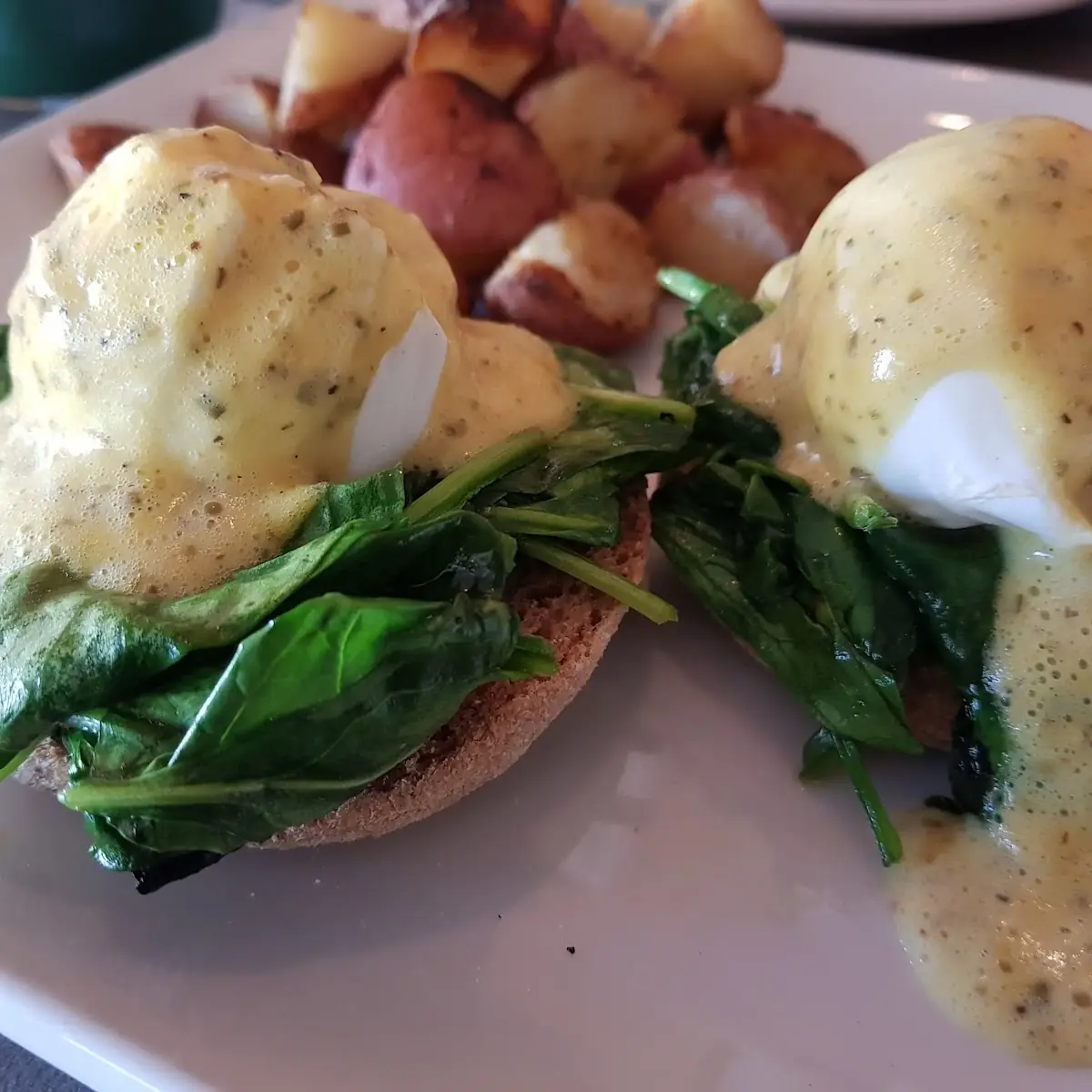 Goat Cheese Spinach Benedict