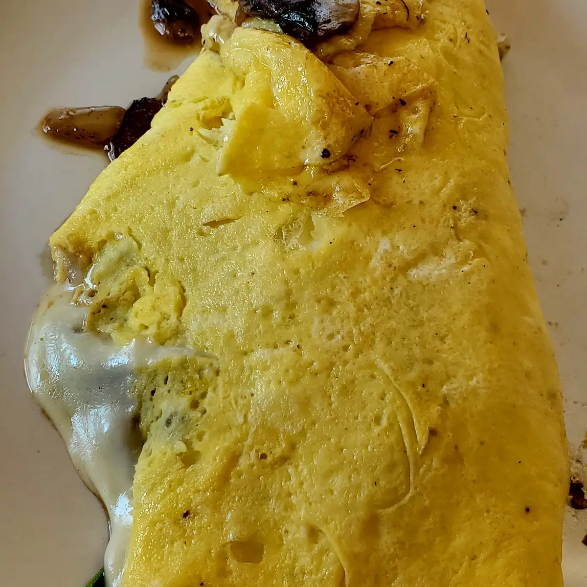 Veggie Omelette