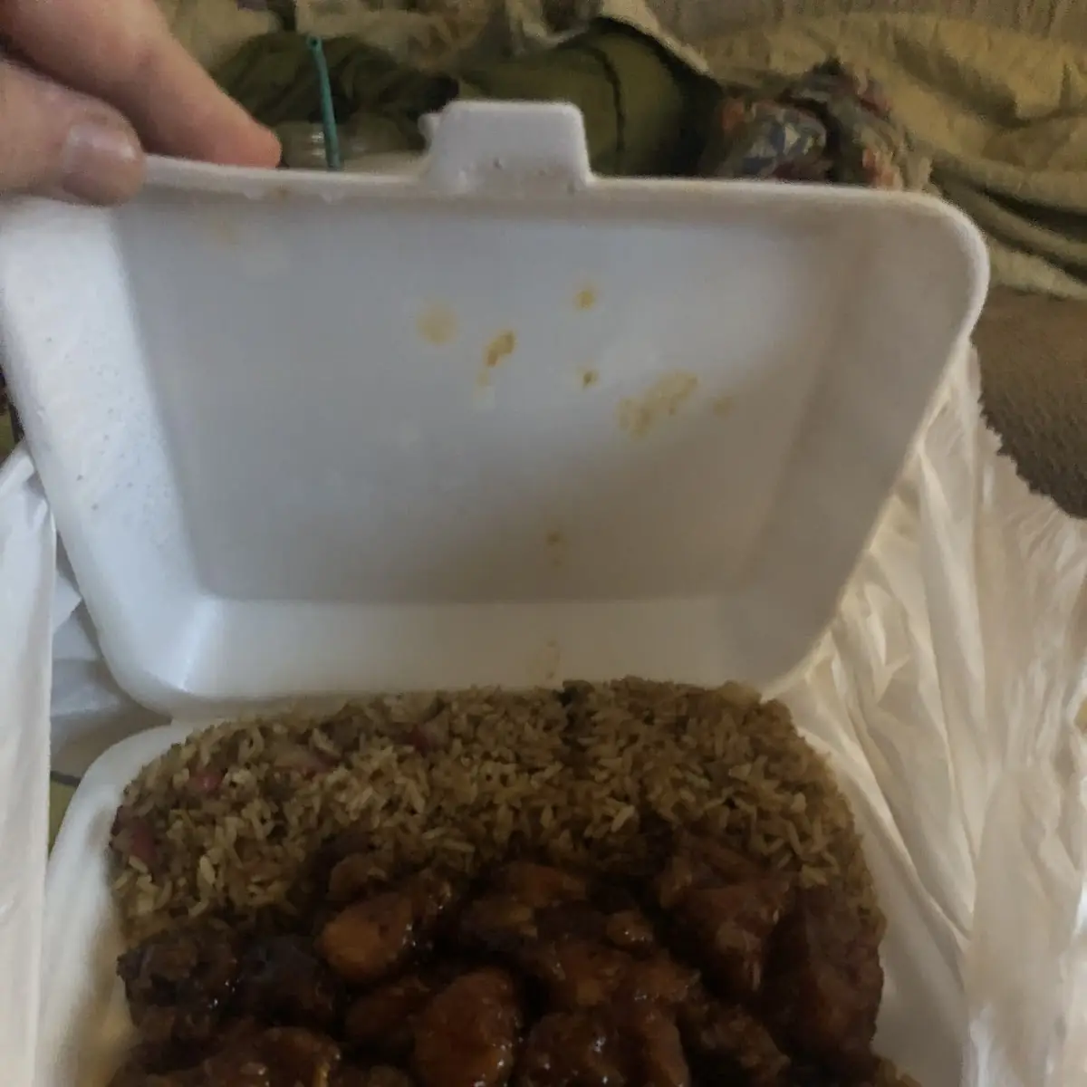 Orange Chicken Pork Fried Rice