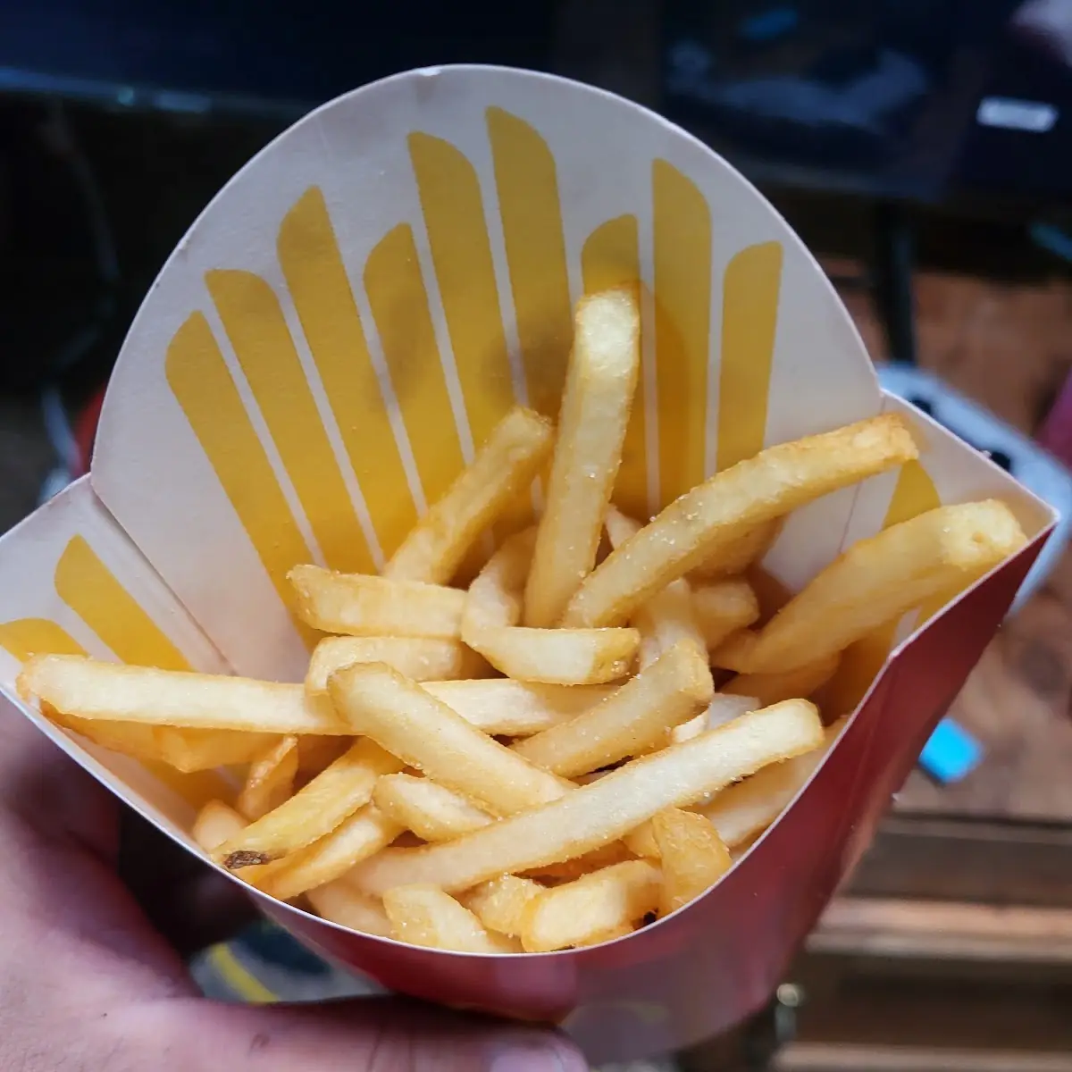 World Famous Fries