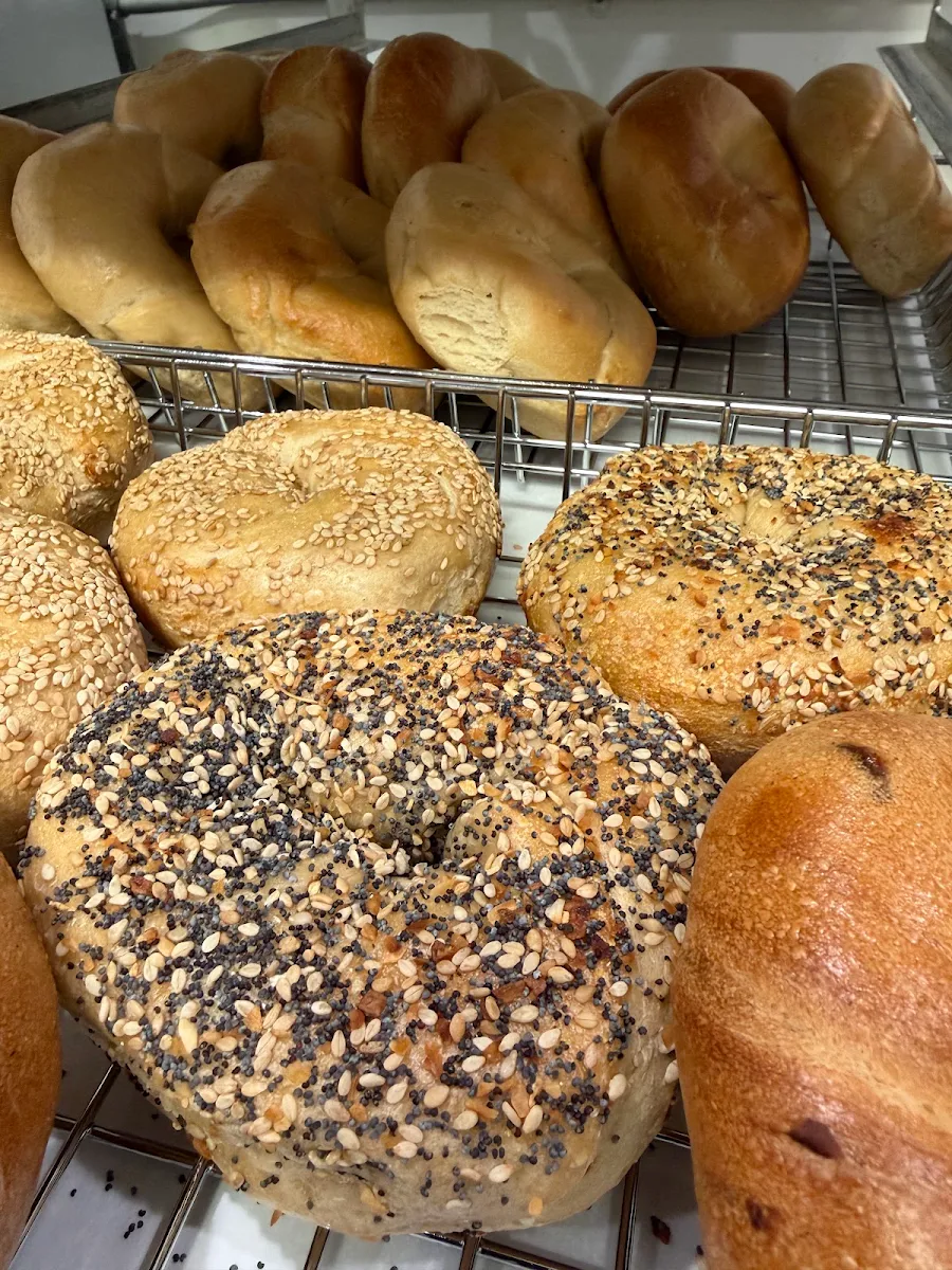 Dozen Bagels