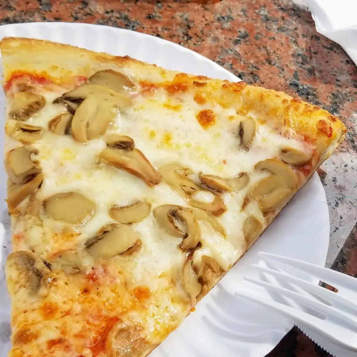 Mushroom Pizza