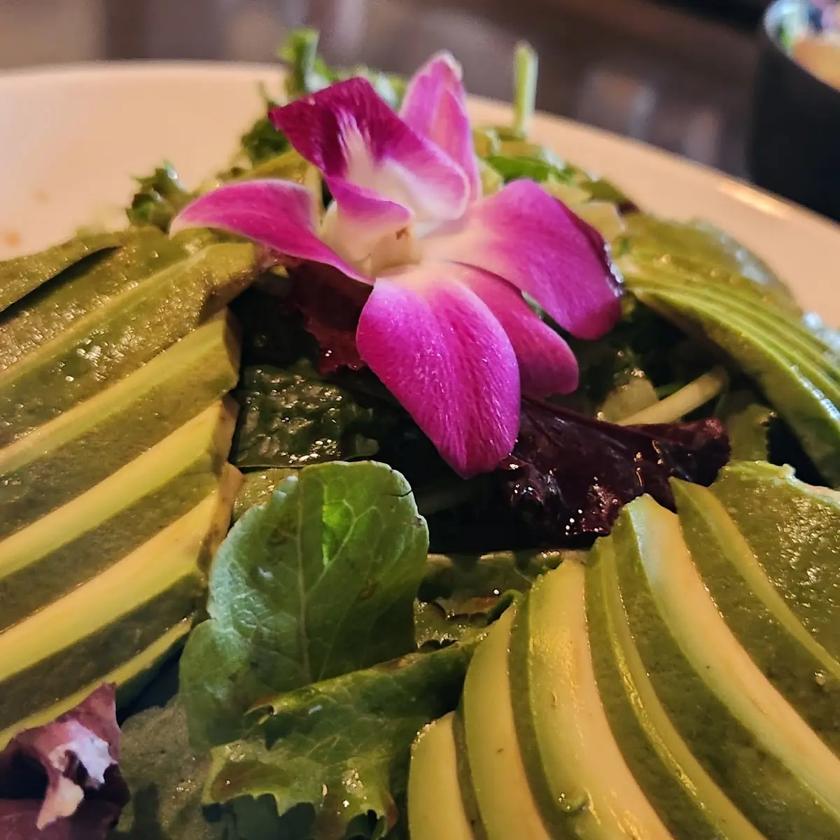 Avocado Salad