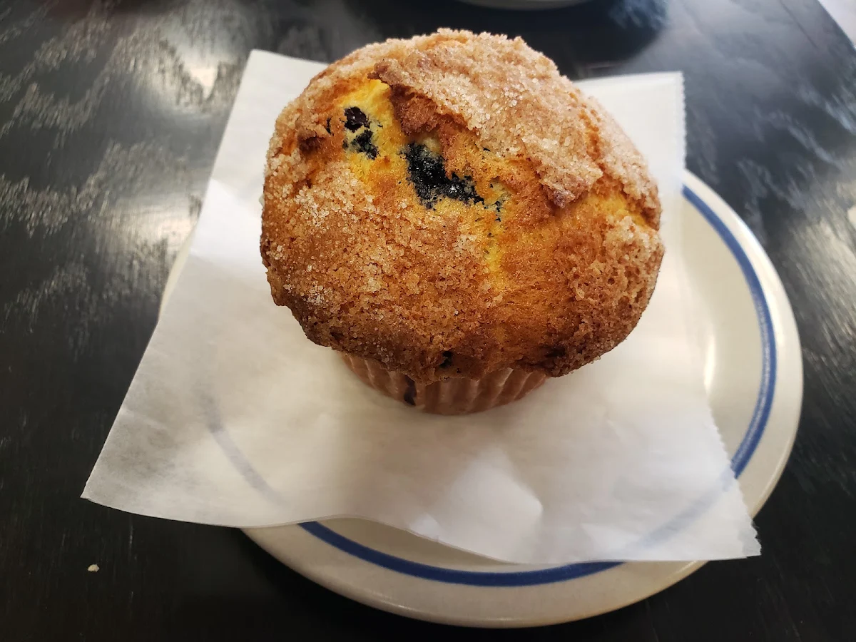 Blueberry Muffin