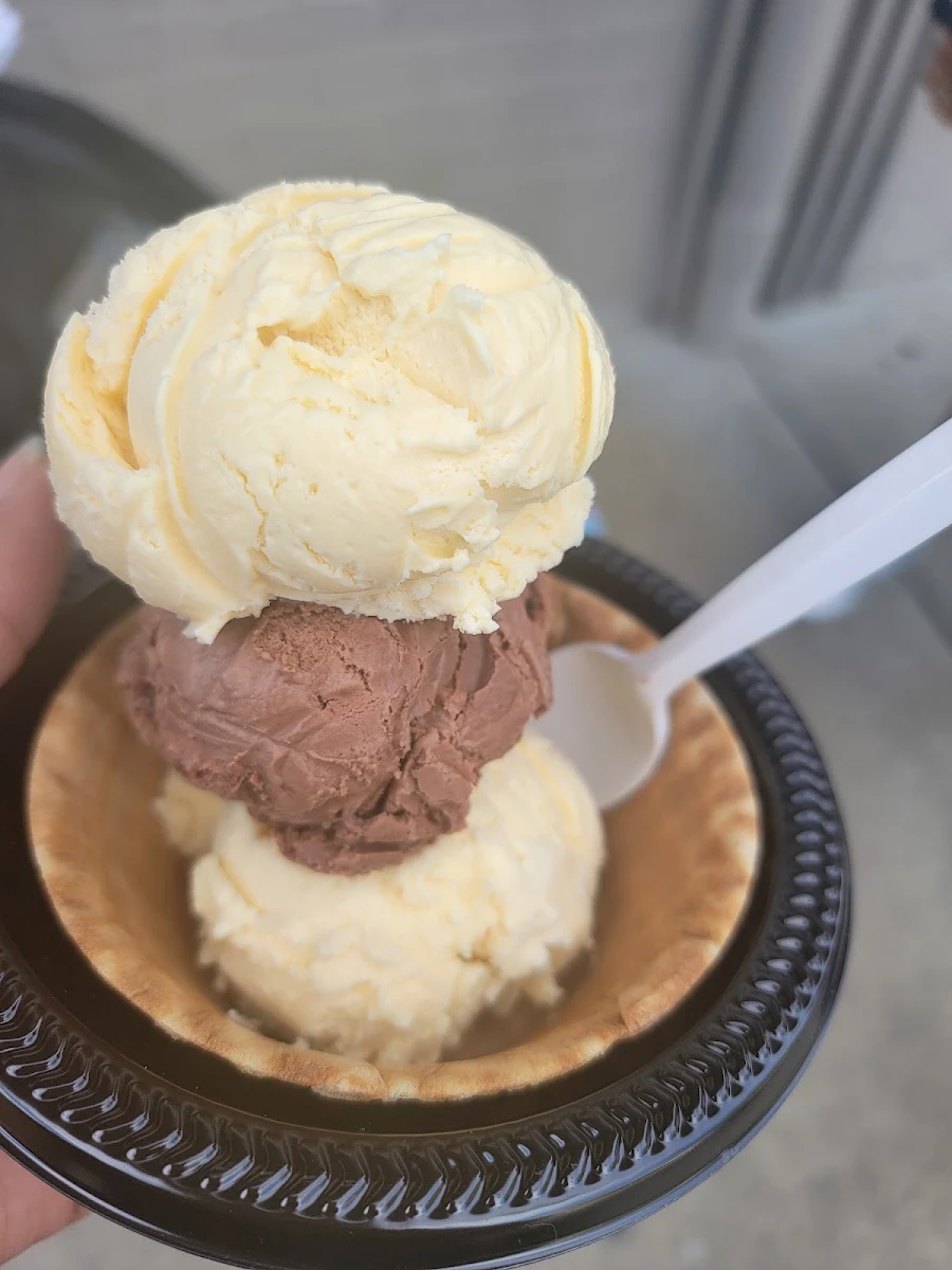 Vanilla and Chocolate Ice Cream