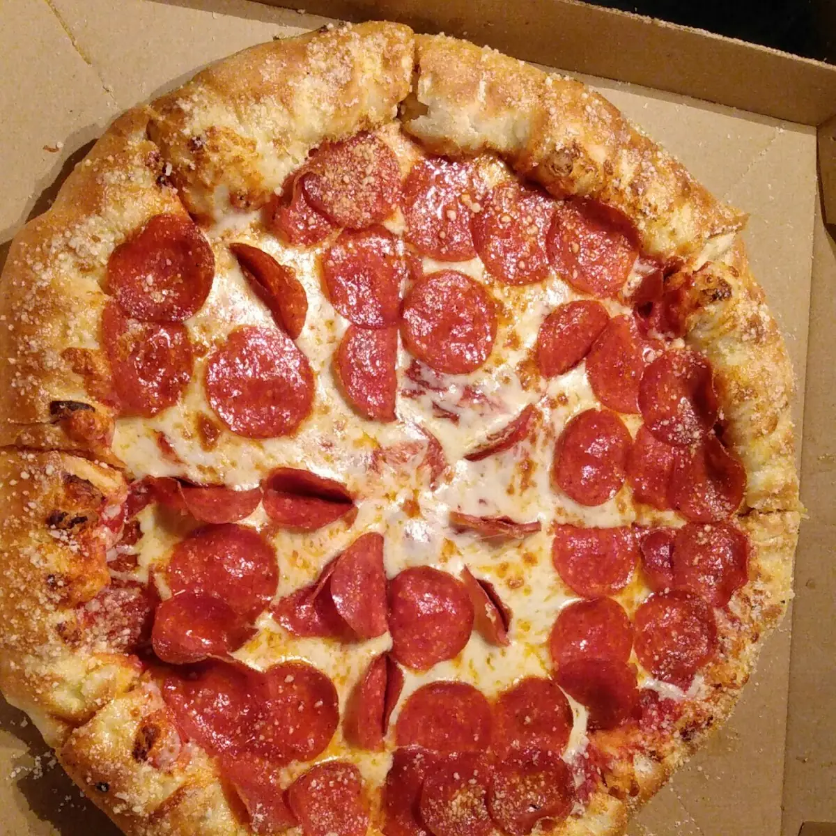 Pepperoni and Cheese Stuffed Crust Pizza