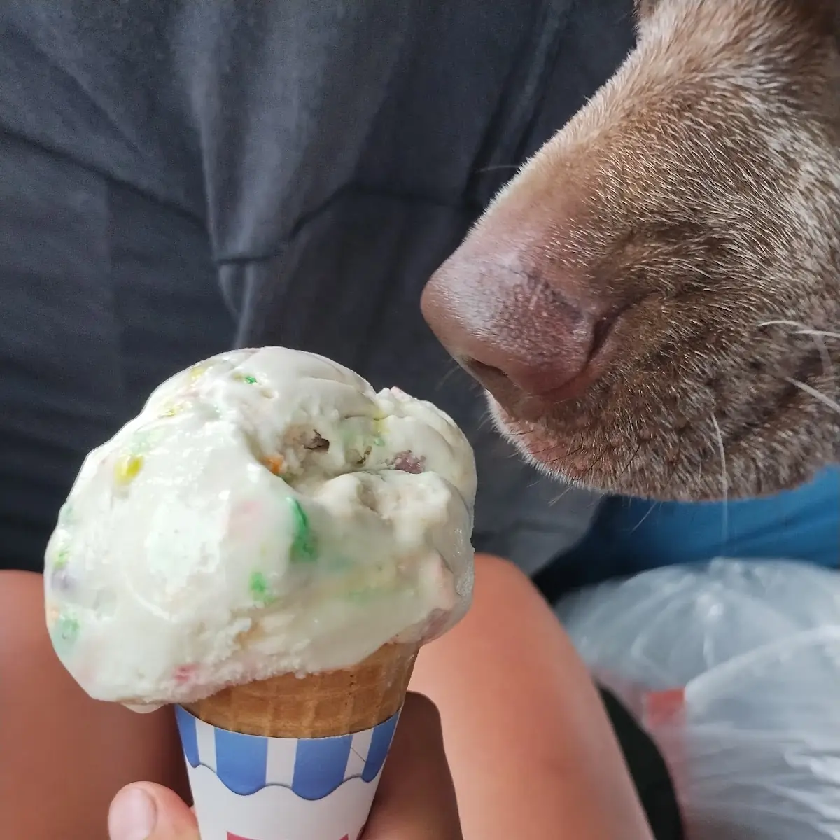 Nerd Ice Cream Cone