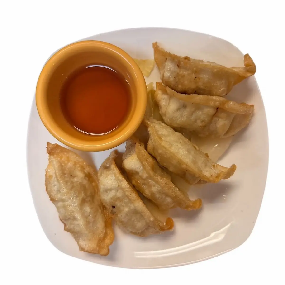 Fried Pork Dumpling 6