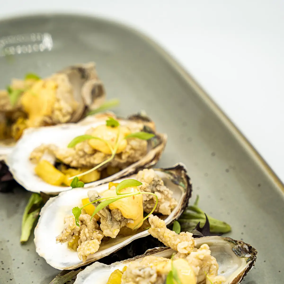 Half-Dozen Bluepoint Oysters