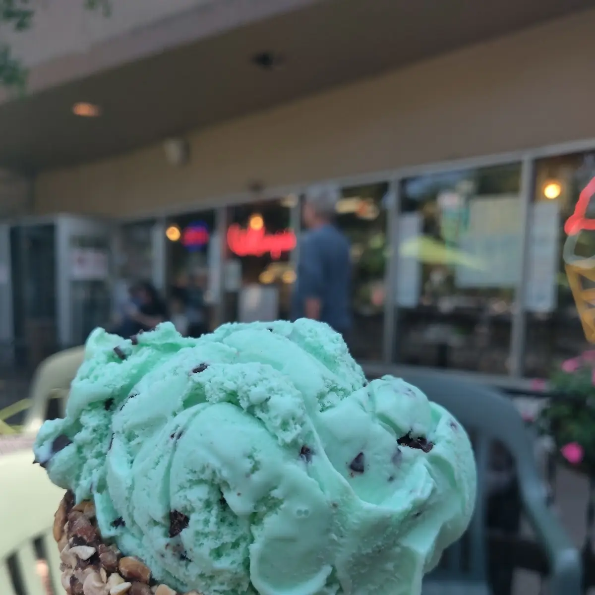 Chocolate Chip