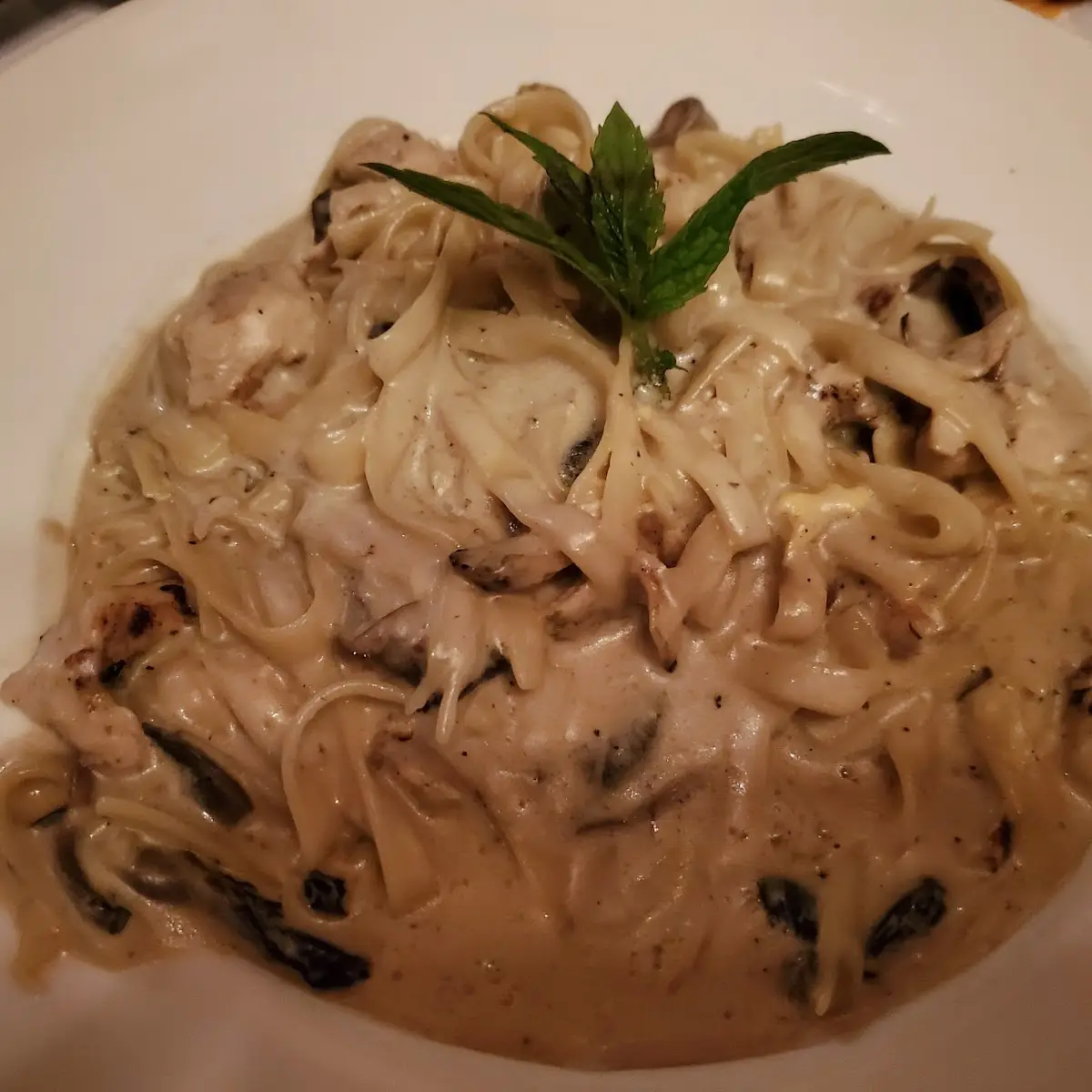 Fettuccine Alfredo