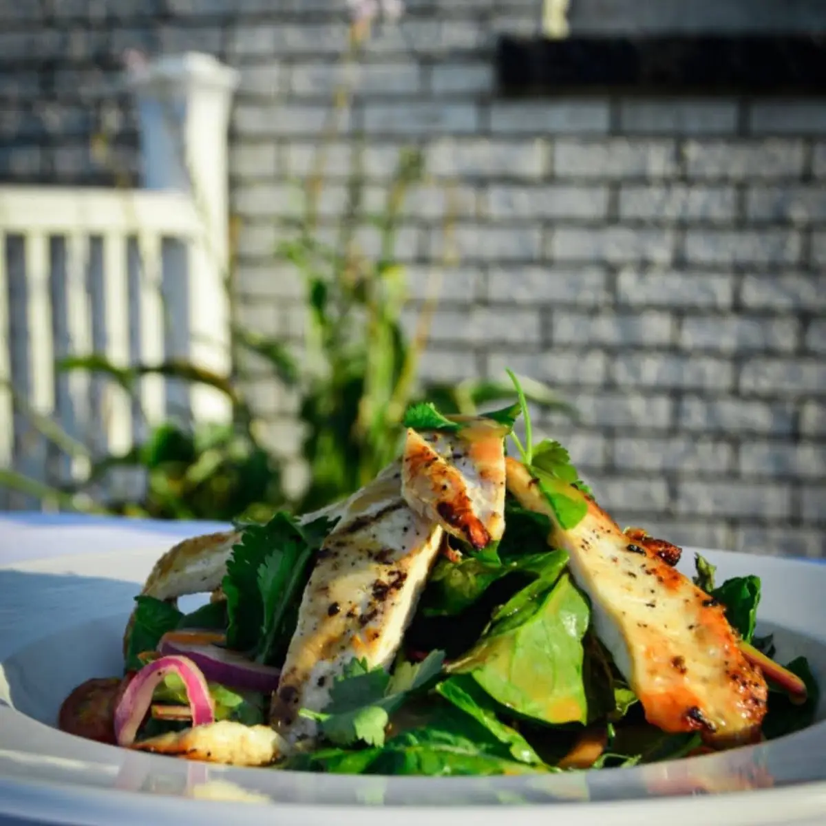 Ensalada Mixta Con Pollo a La Plancha Mixed Salad with Grilled Chicken