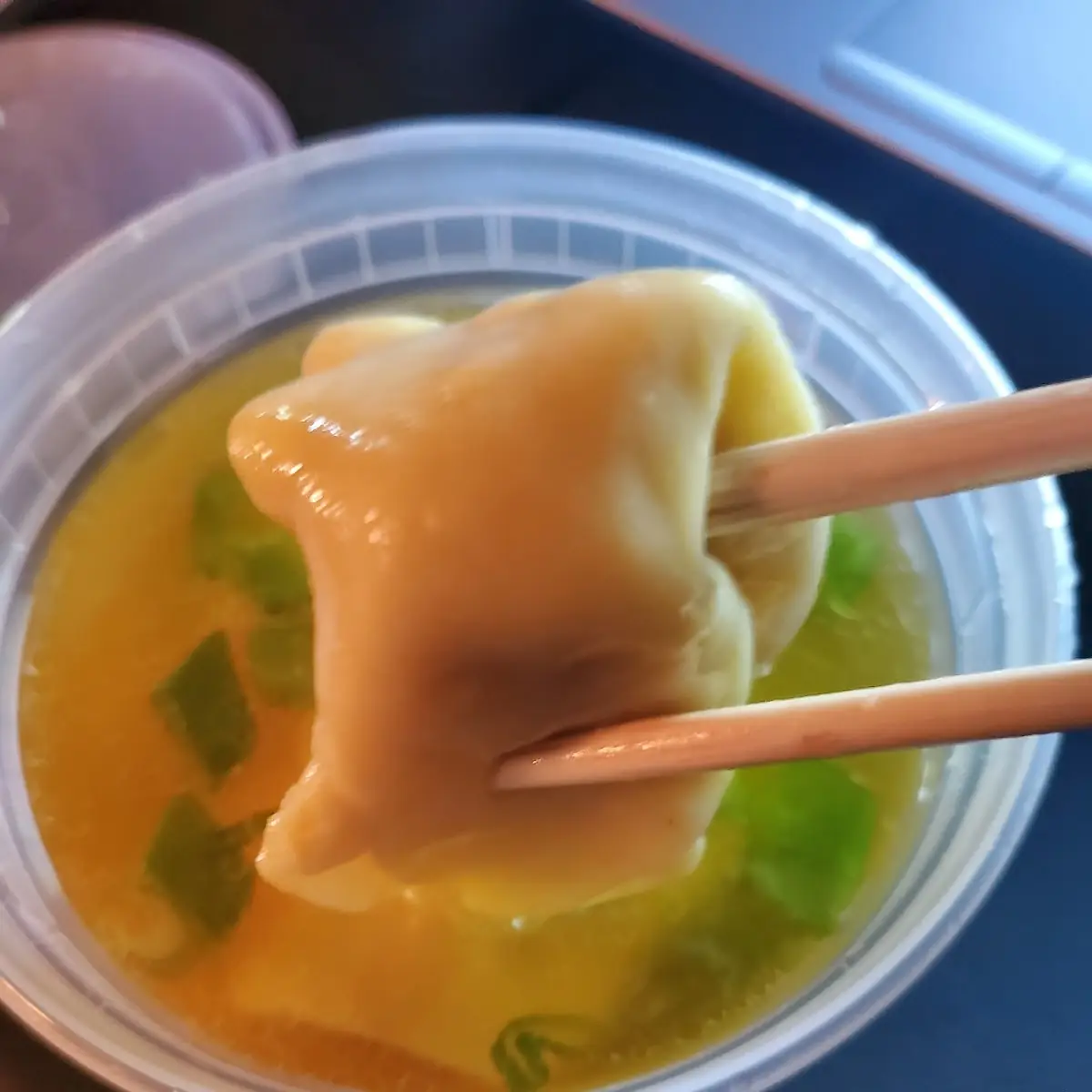 Wonton Soup