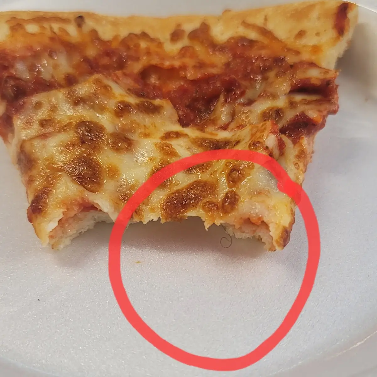 Cheese Pizza