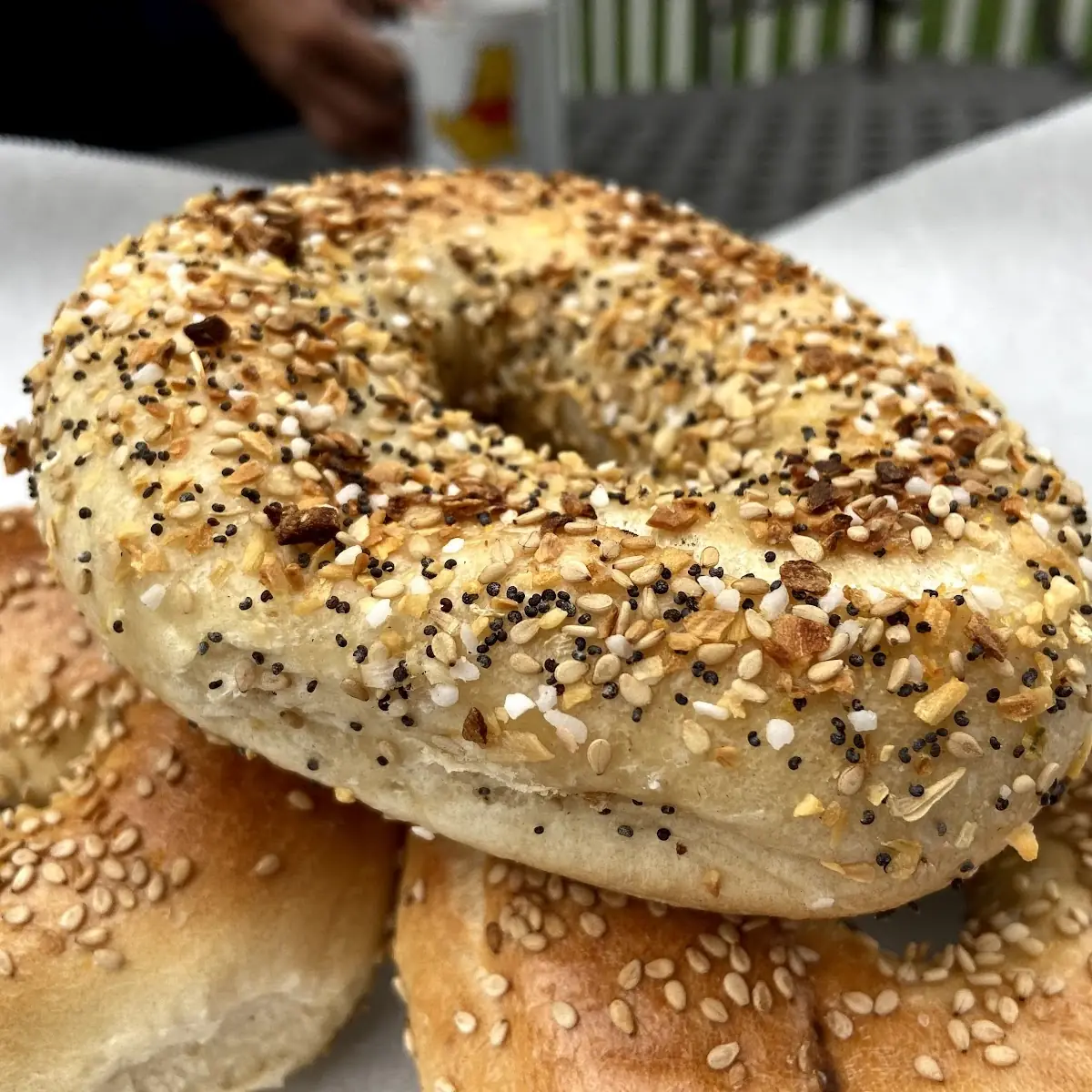 Bagel Tray