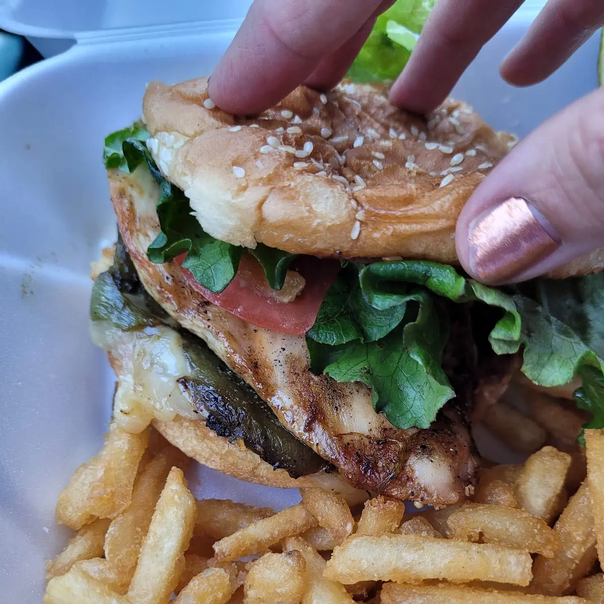 Hatch Chicken Sandwich
