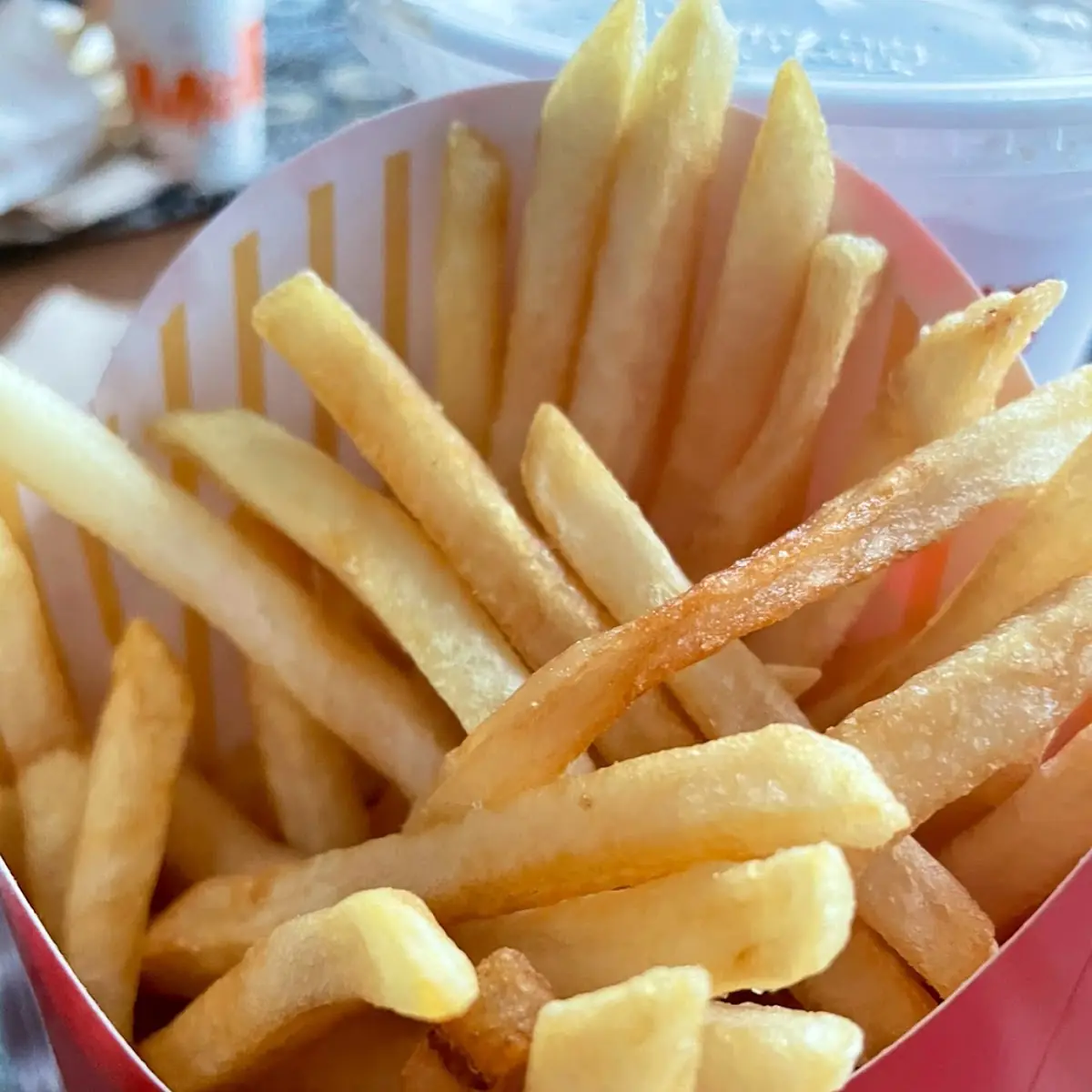 World Famous Fries
