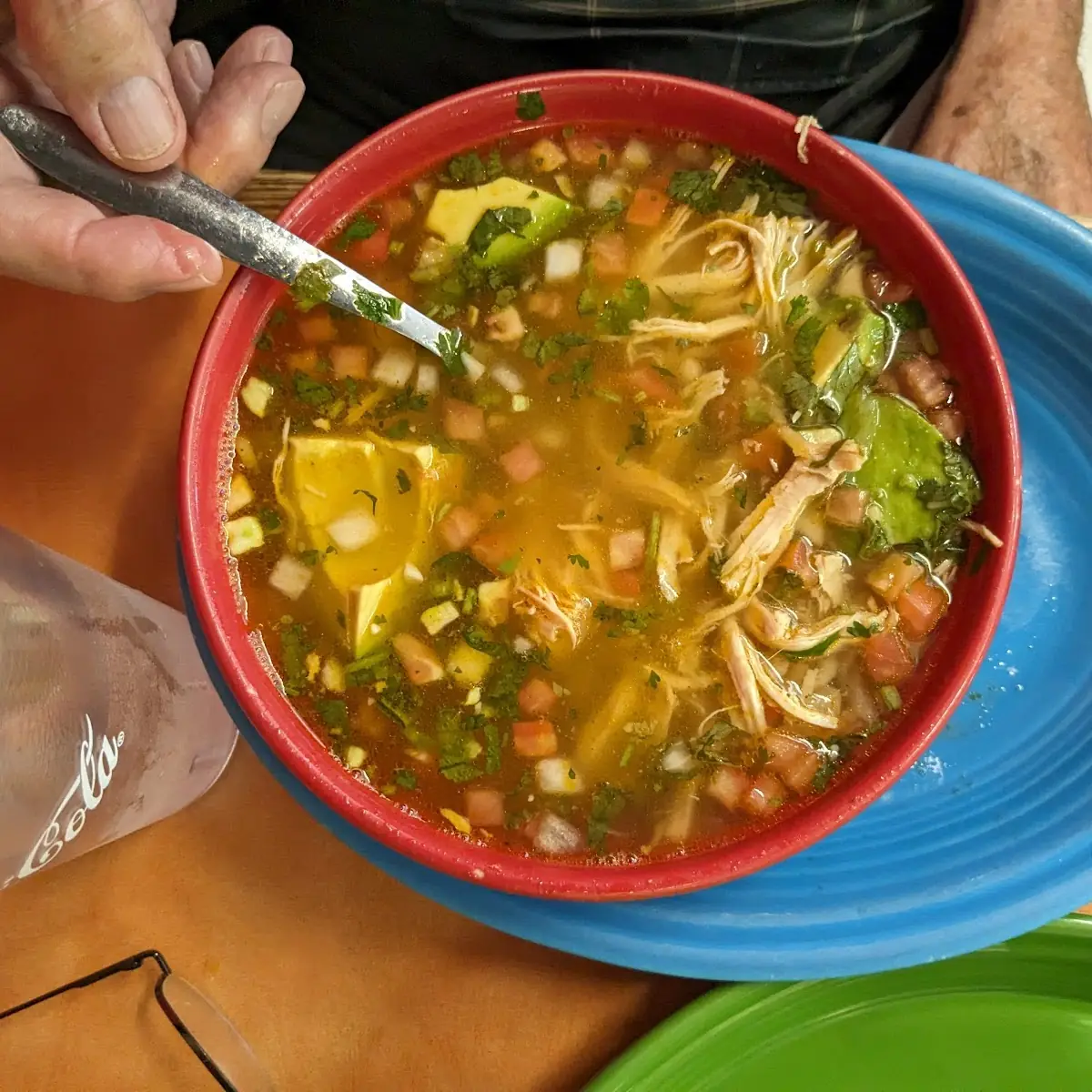 Large Bowl of Chicken Soup