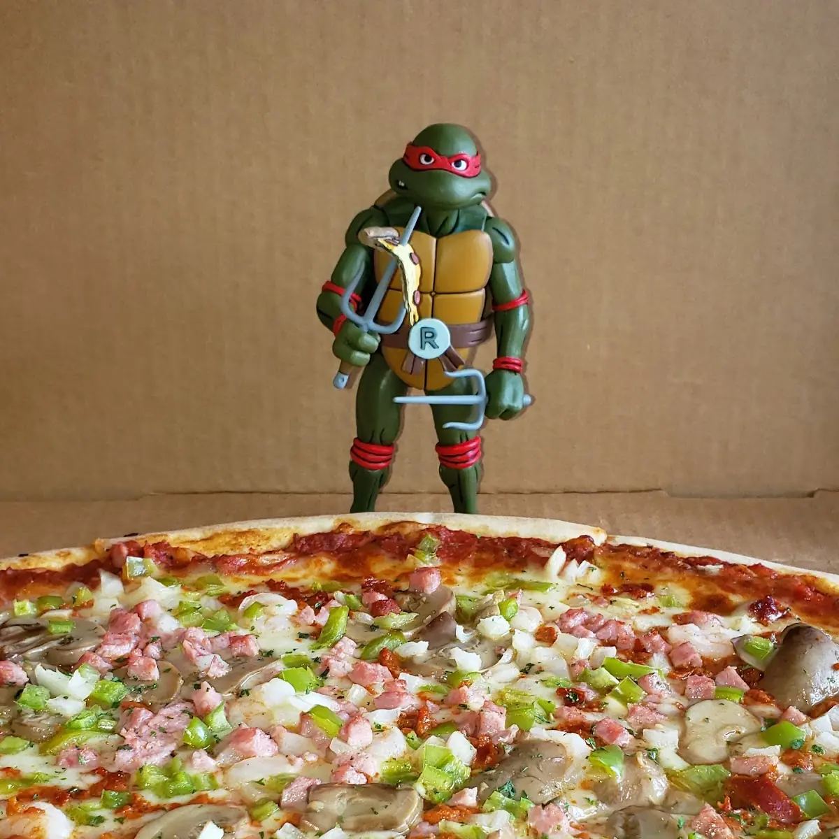 Combination Pizza