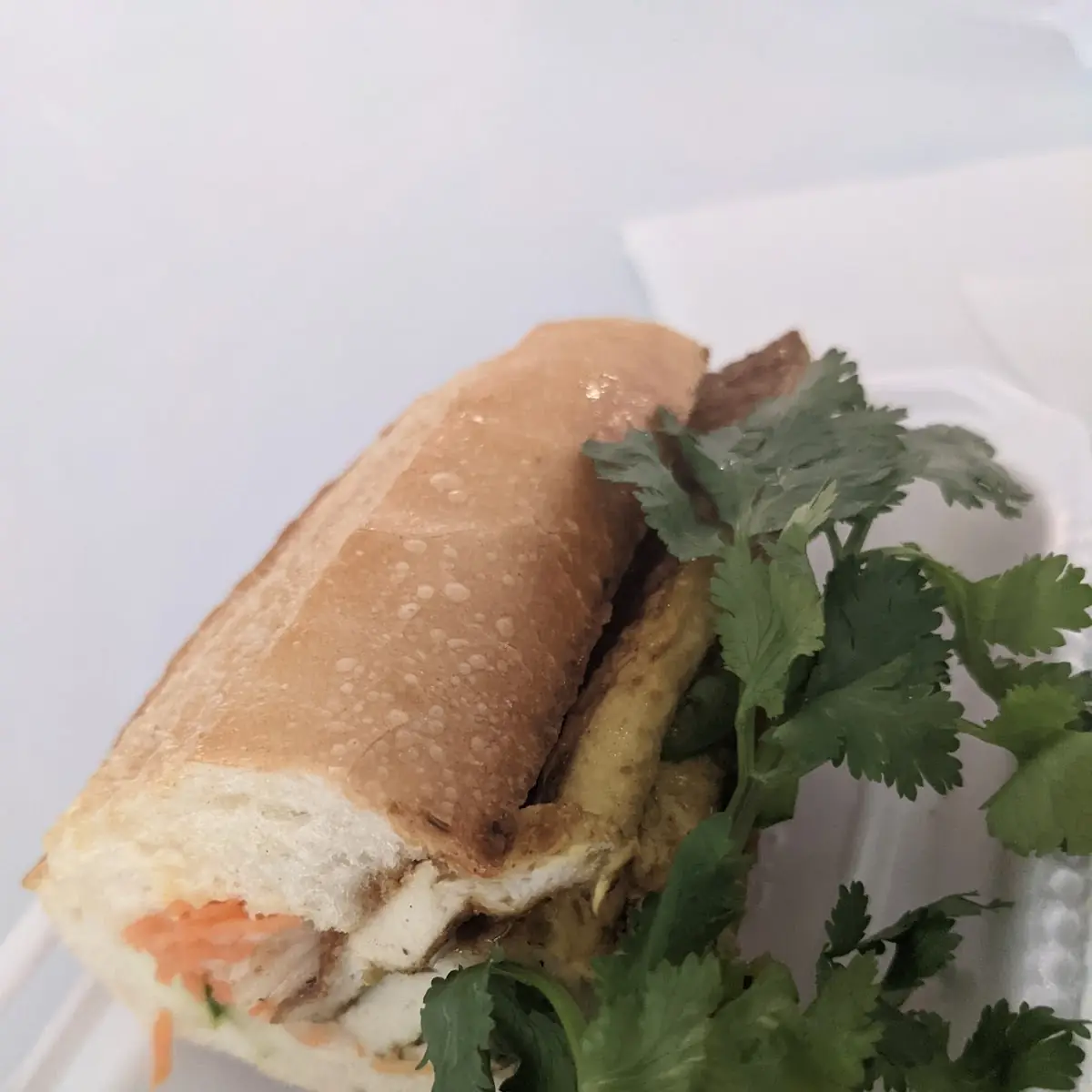 Chicken Sandwich