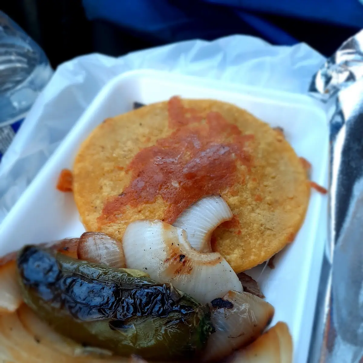 Carne Asada Mulita