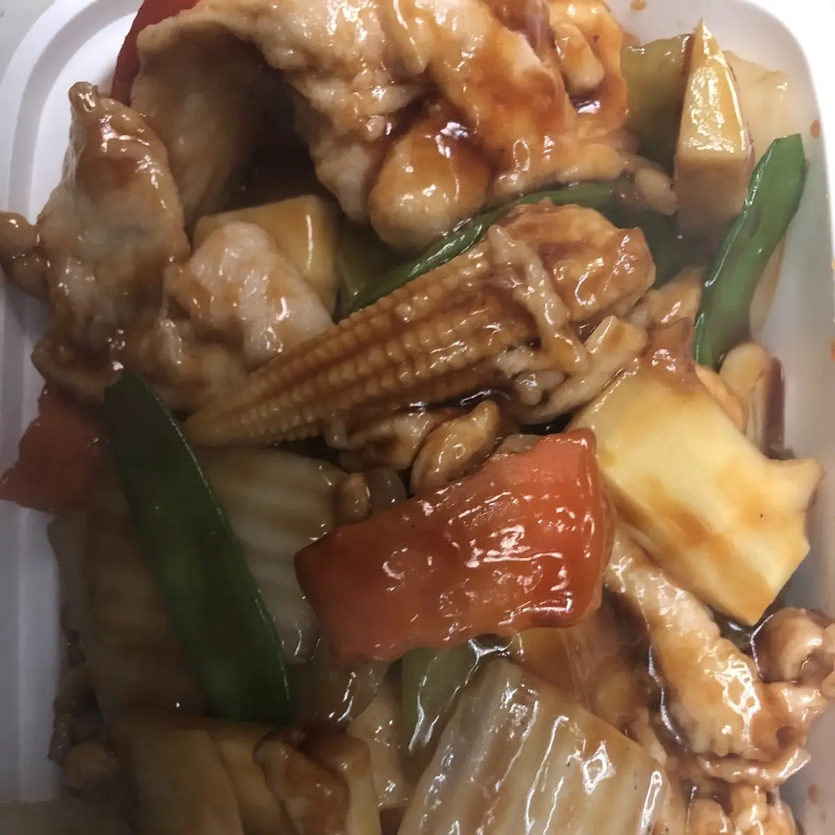 Double Delight with Garlic Sauce